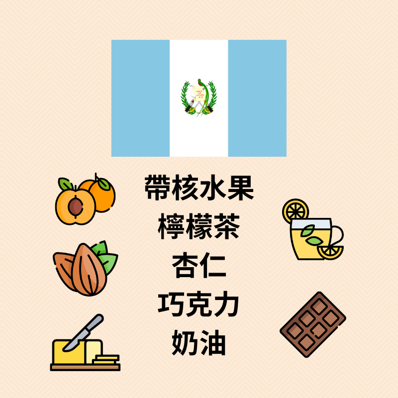 瓜地馬拉 歐曼斯莊園 複合批次品種｜水洗｜中淺烘焙