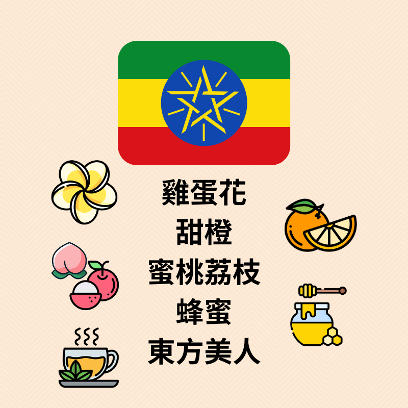 衣索比亞 歐若米亞 凱萊 雀蓓莎｜慢速厭氧紅蜜｜淺烘焙