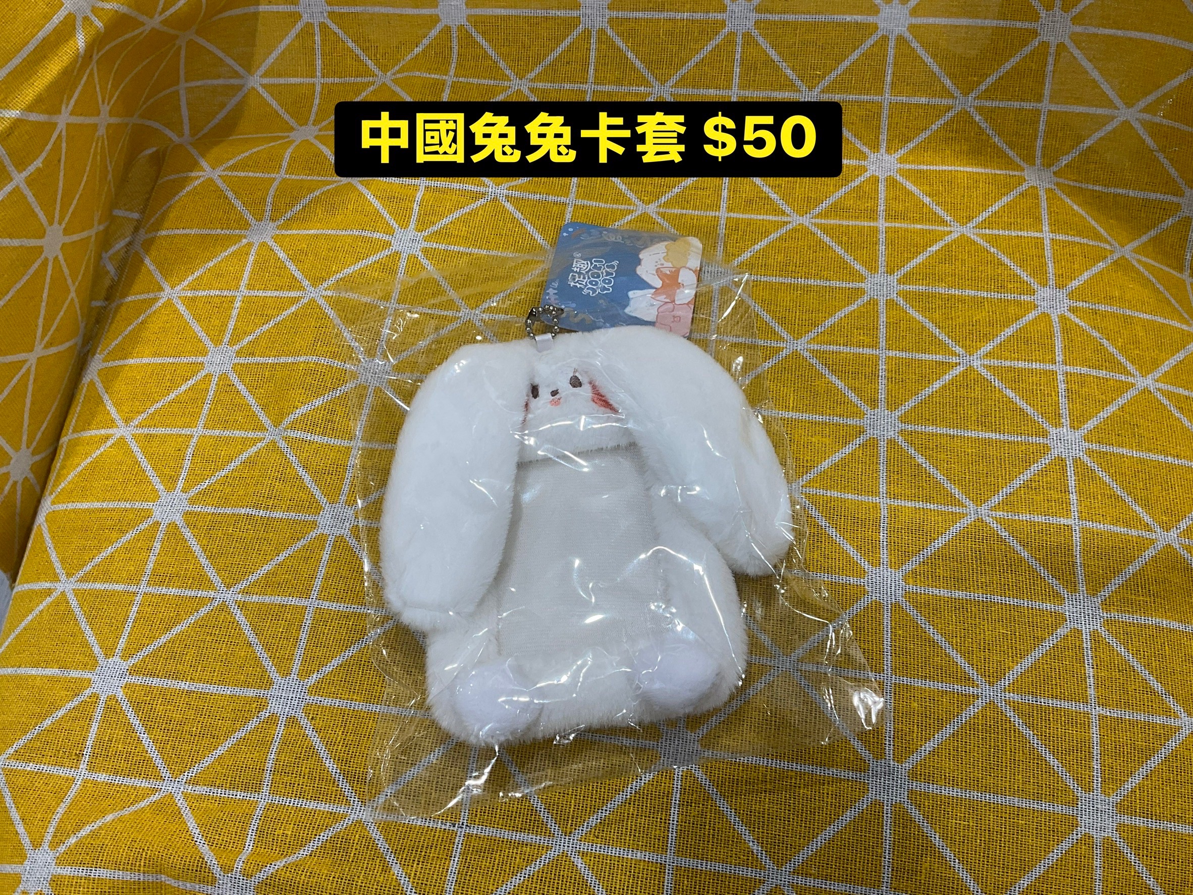 社團購入兔兔卡套