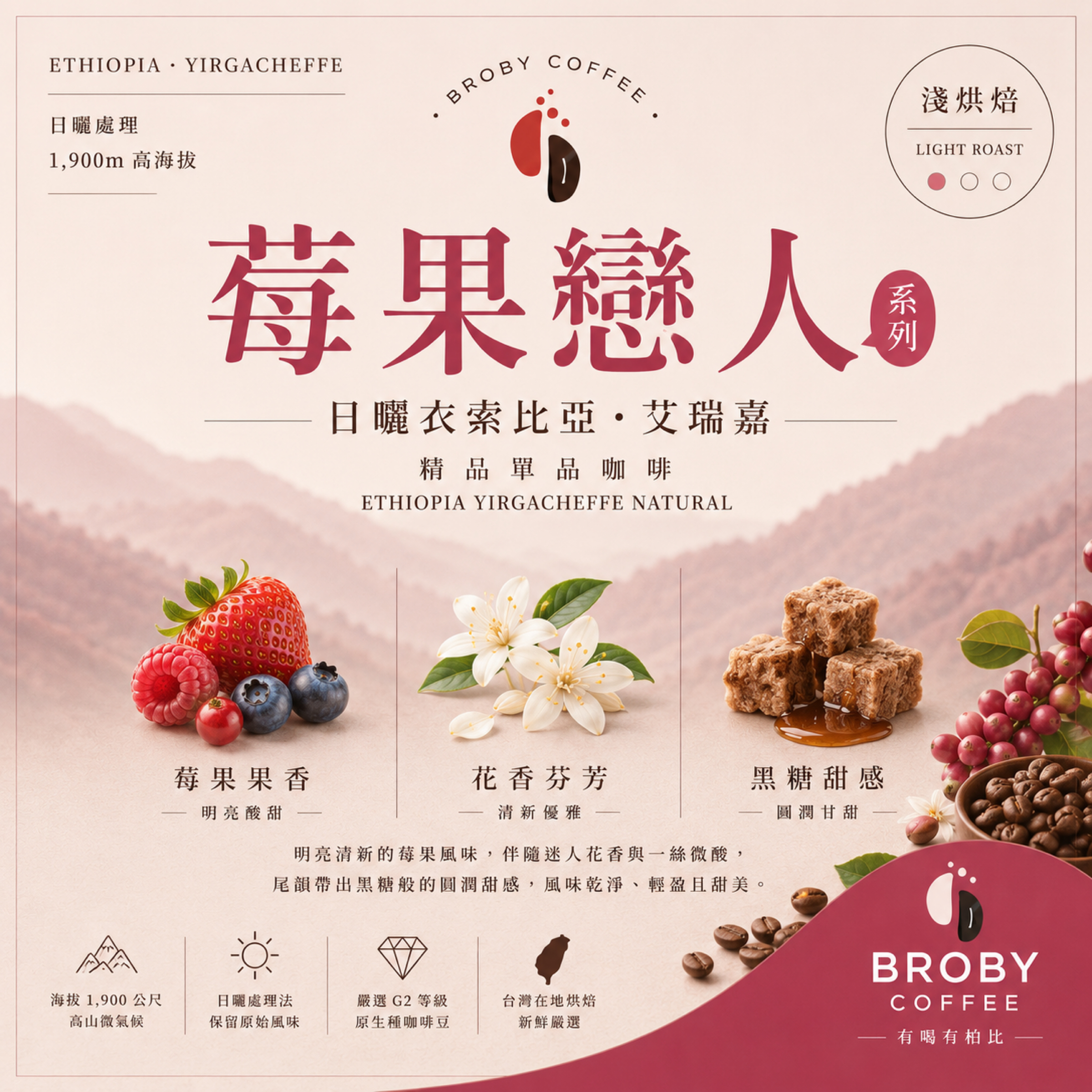 日曬衣索比亞-艾瑞嘉
