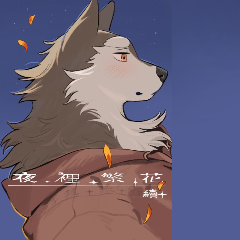 夜裡繁花_續
