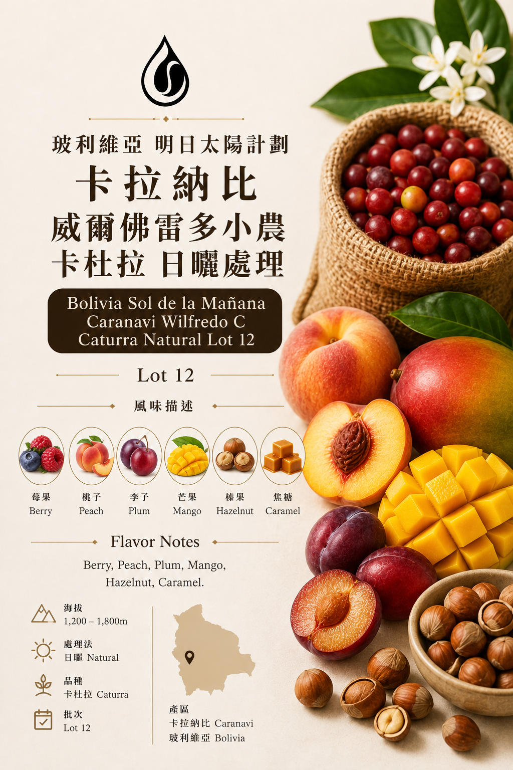 玻利維亞 明日太陽計劃 卡拉納比 威爾佛雷多小農 卡杜拉 日曬處理