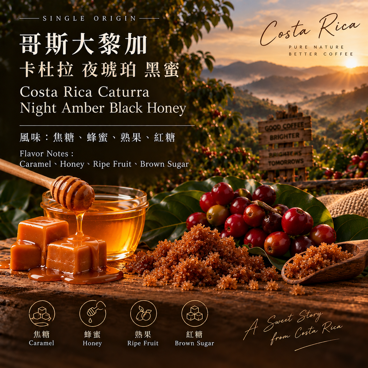 哥斯大黎加 卡杜拉 夜琥珀 黑蜜