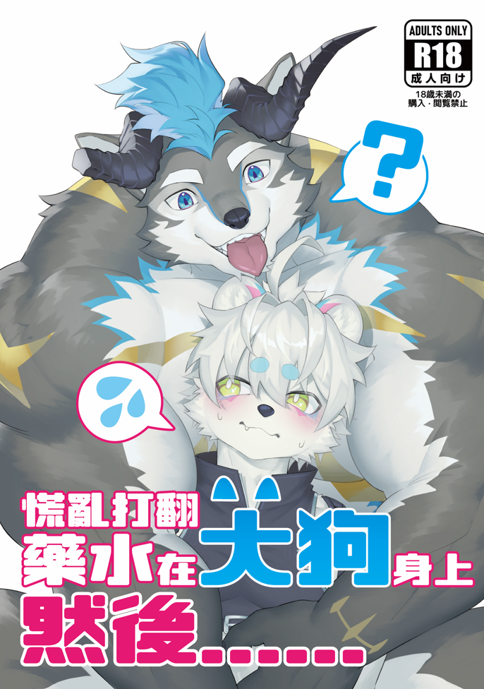 新刊