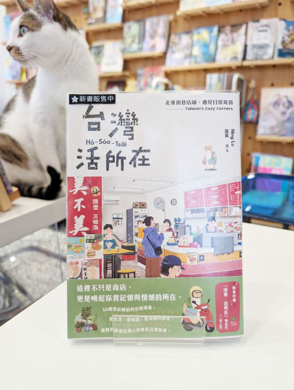 台灣活所在：走進街巷店舖，遇見日常驚喜