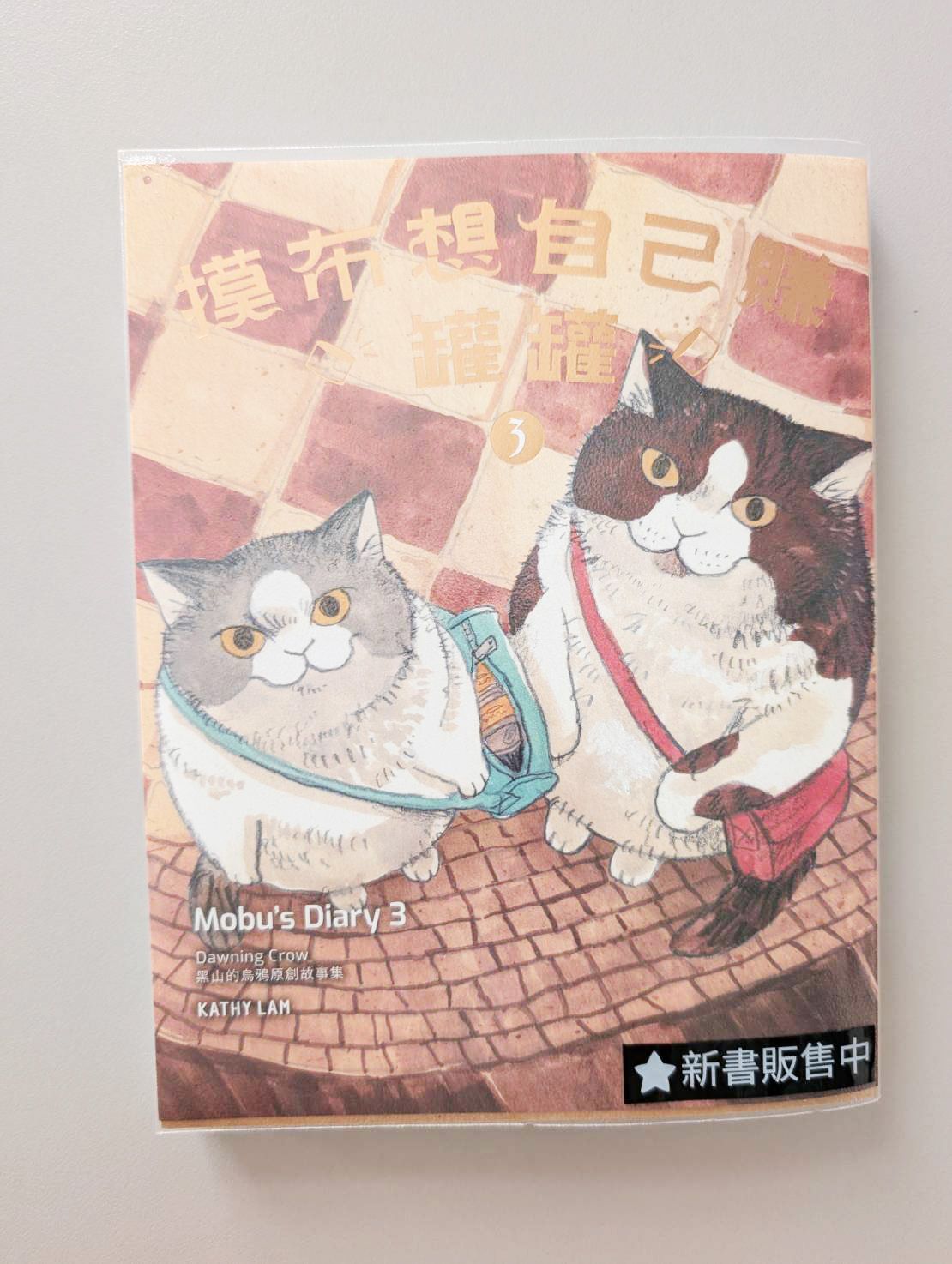 摸布想自己賺罐罐3