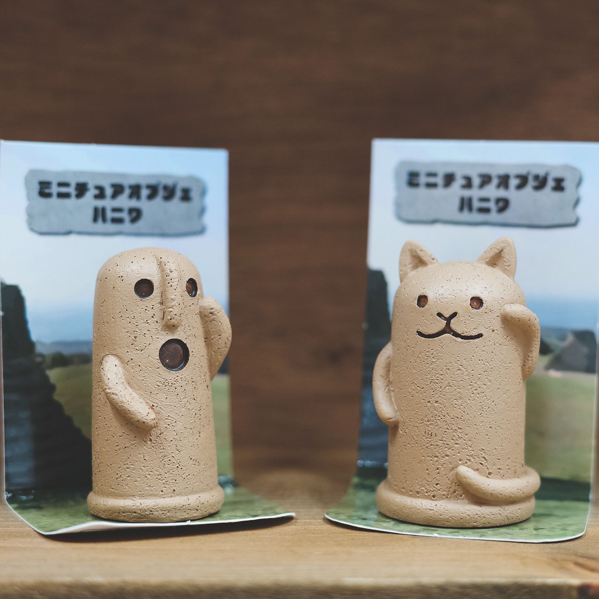 ✨NEW✨小物類