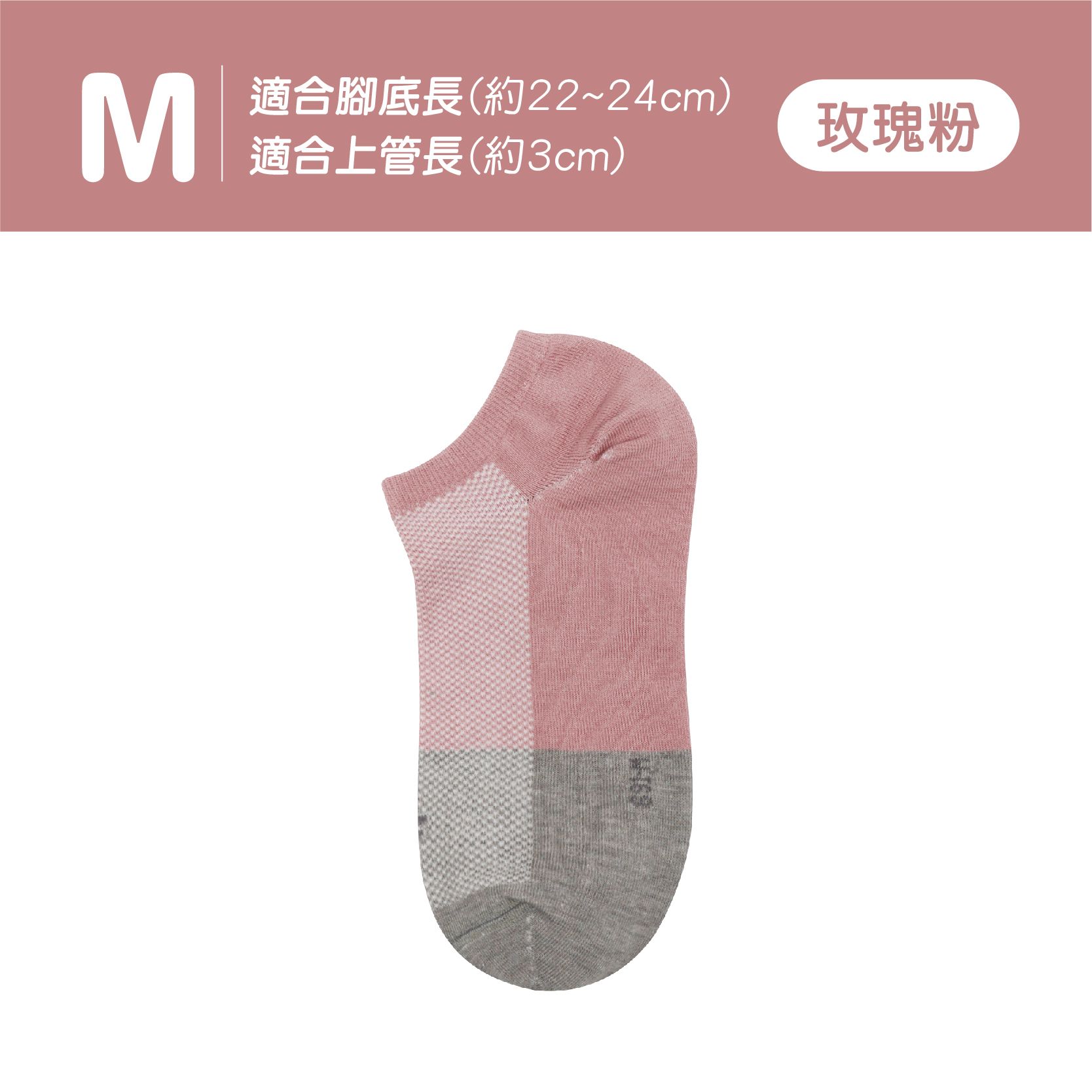 圖片 14