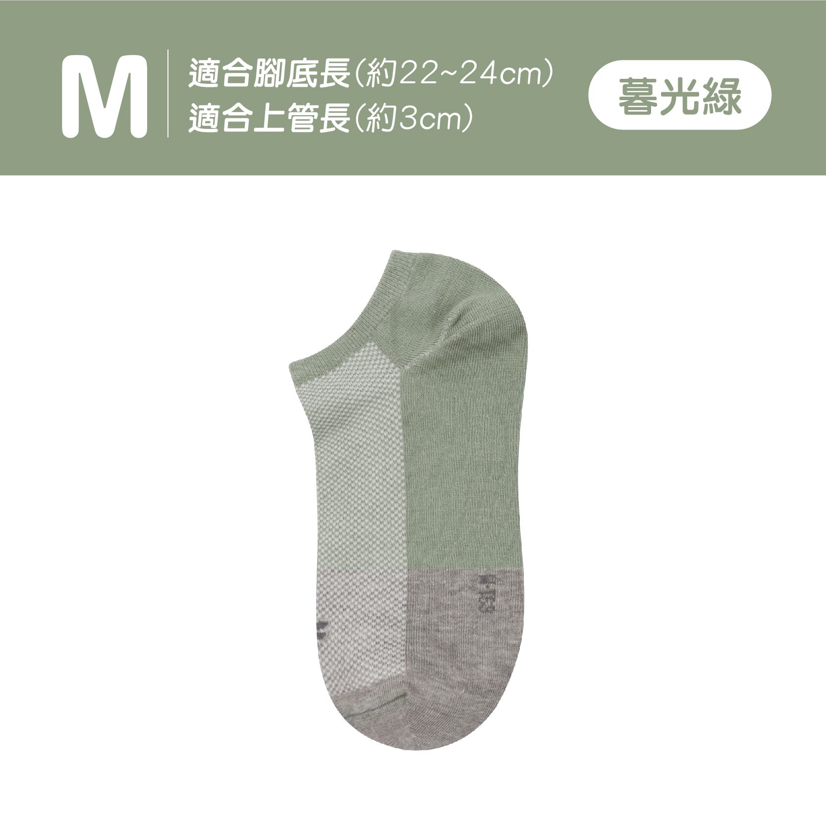 圖片 15