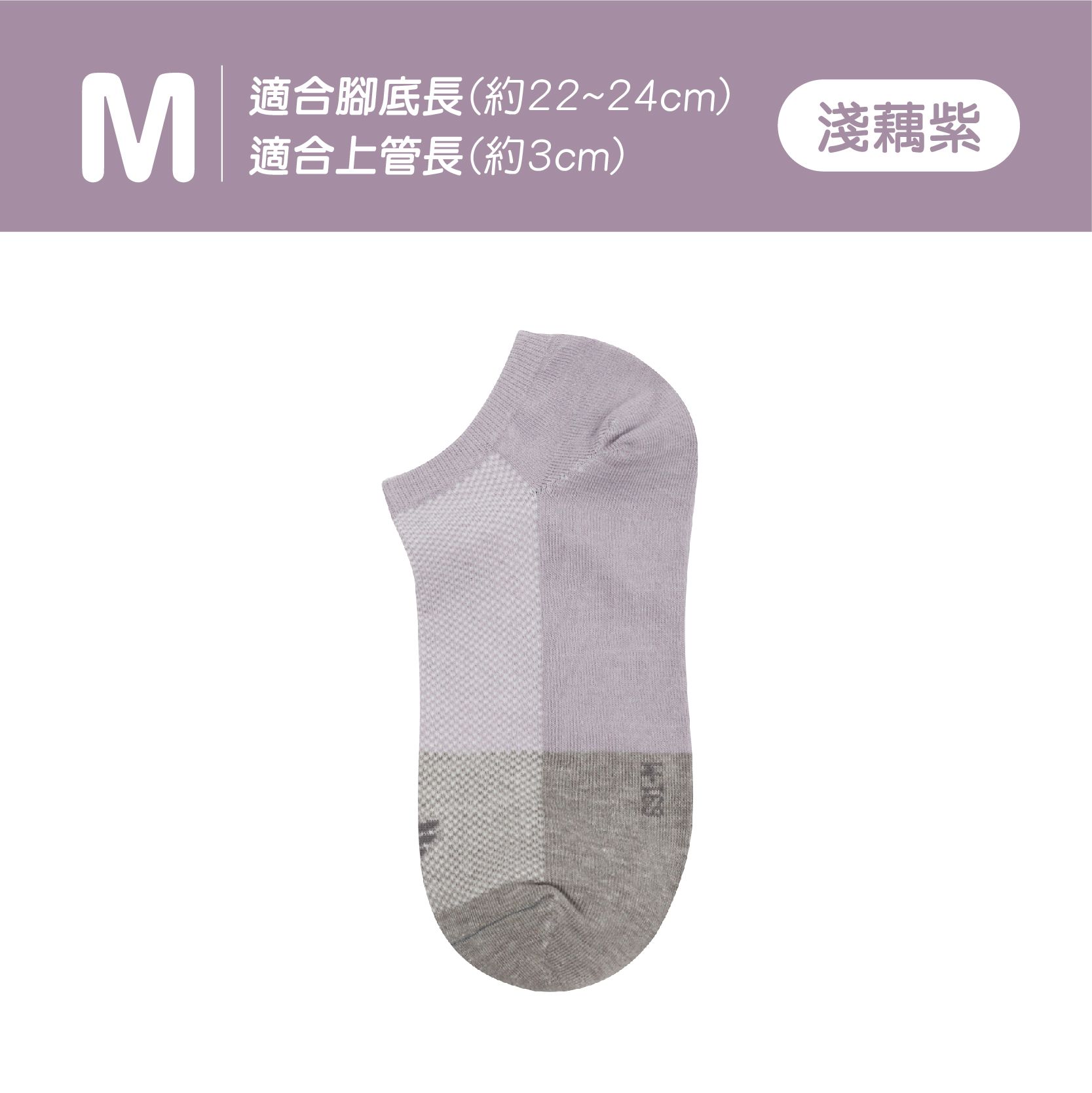 圖片 16