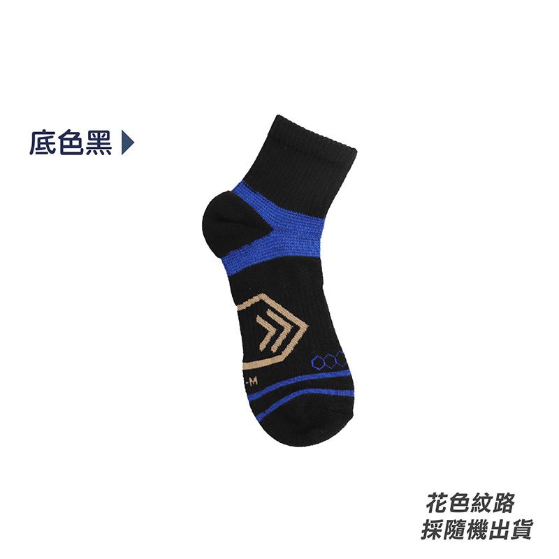 圖片 11