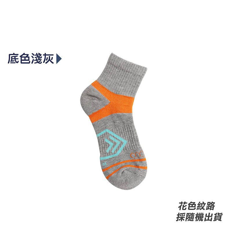 圖片 13