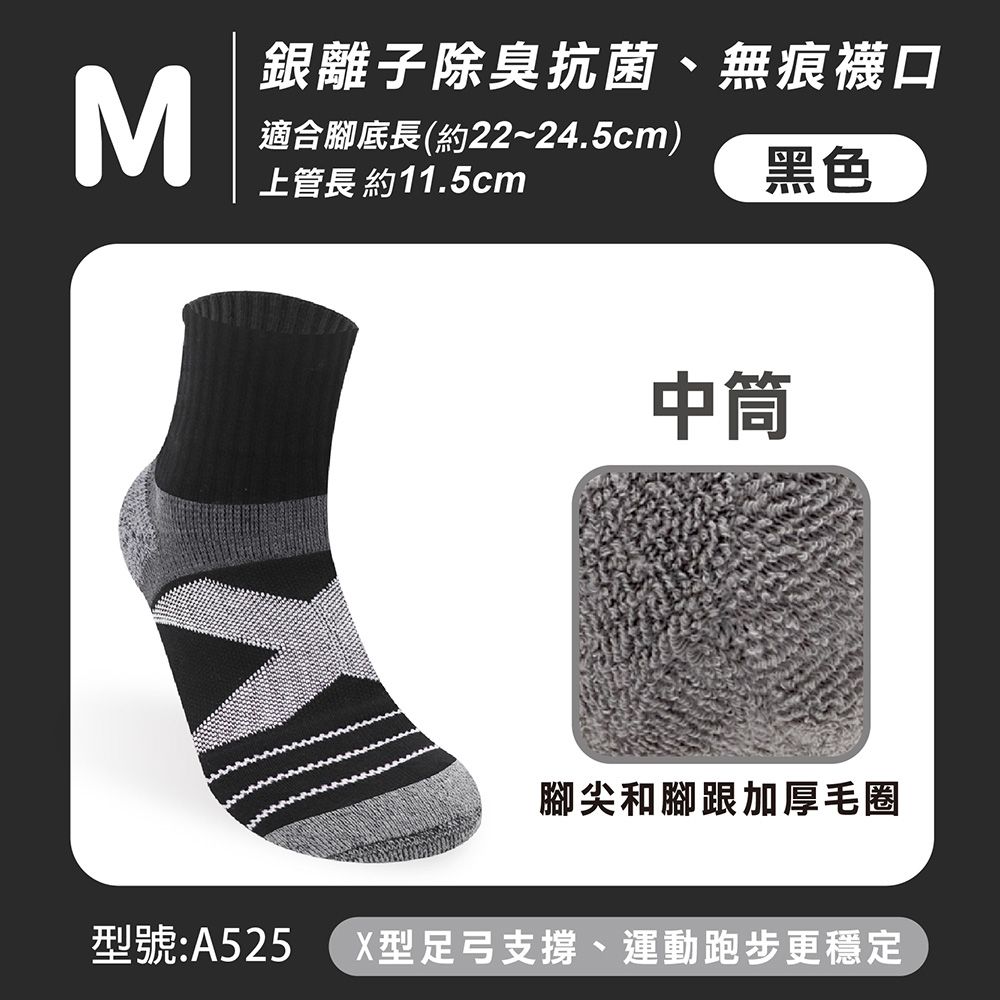 圖片 11
