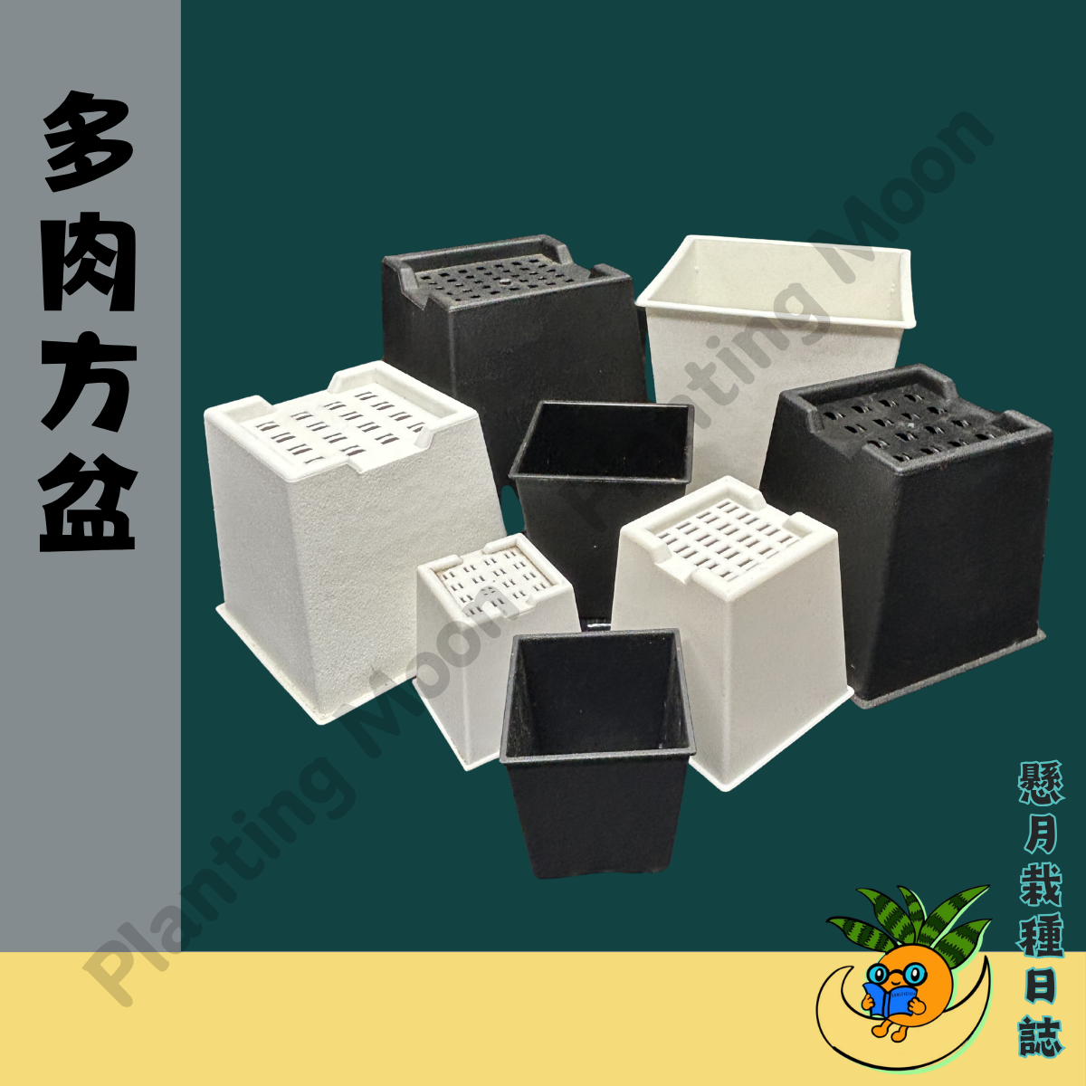 【懸月栽種日誌】塑膠盆｜多肉方盆｜四方盆 透氣盆 盆器 花盆 盆栽 植栽 塑膠盆 栽培盆 仙人掌 多肉盆
