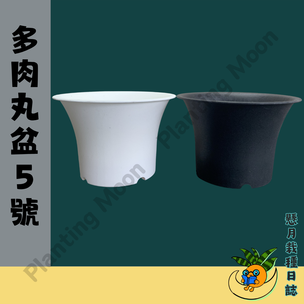 【懸月栽種日誌】塑膠盆｜多肉丸盆5號｜虎尾蘭 仙人掌 大戟 積水鳳梨 龍舌蘭 塊根 多肉 觀葉 塑膠盆 潮流盆 透氣盆