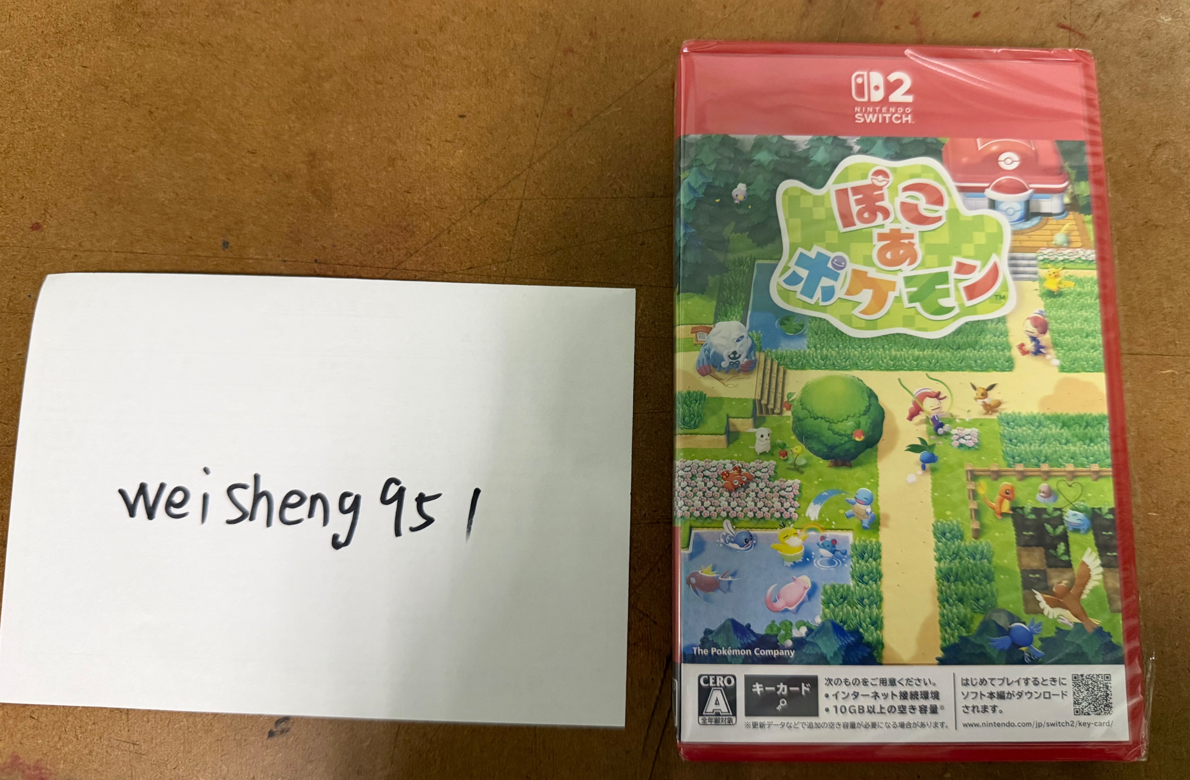 NS2 pokopia 日文版