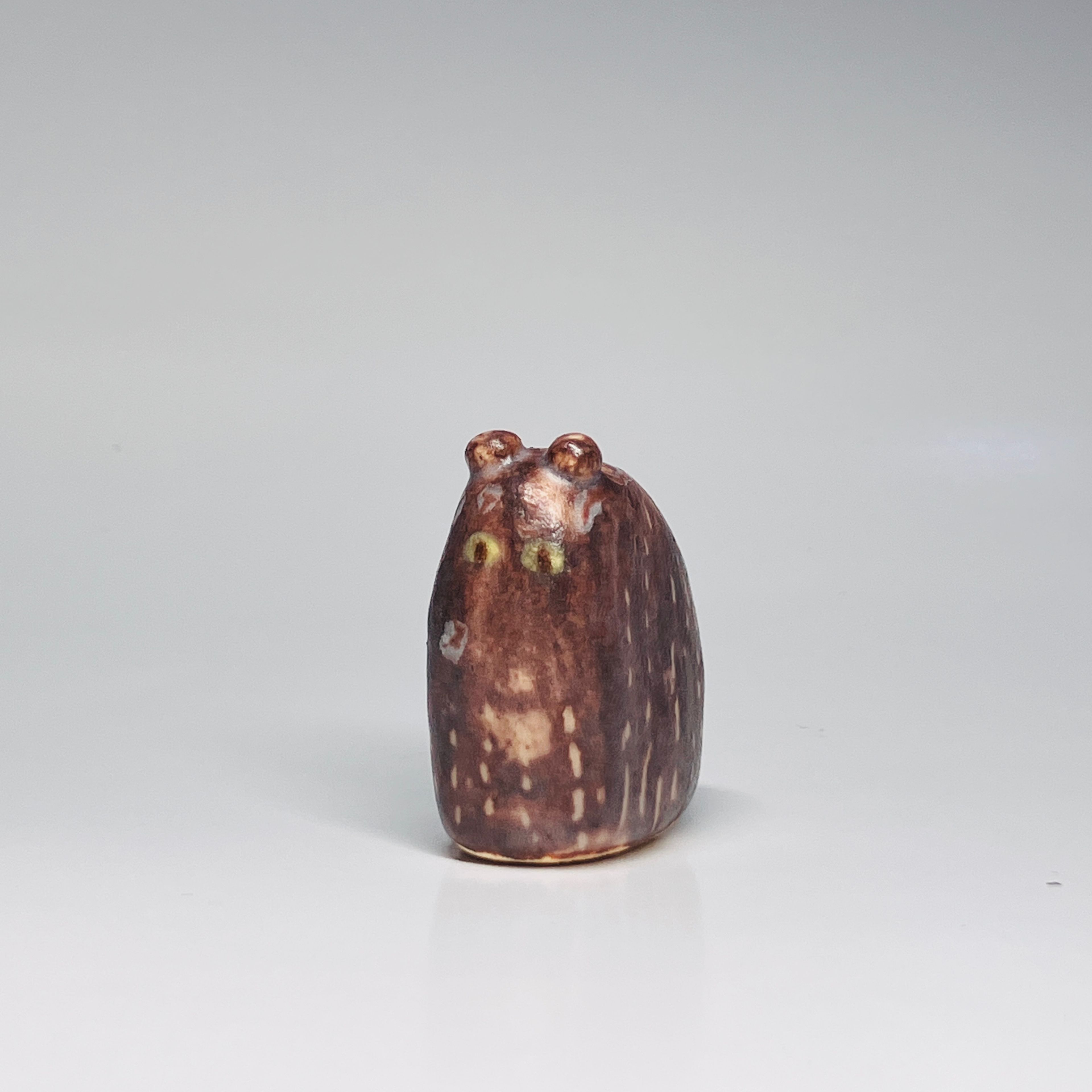 可愛小貓貓