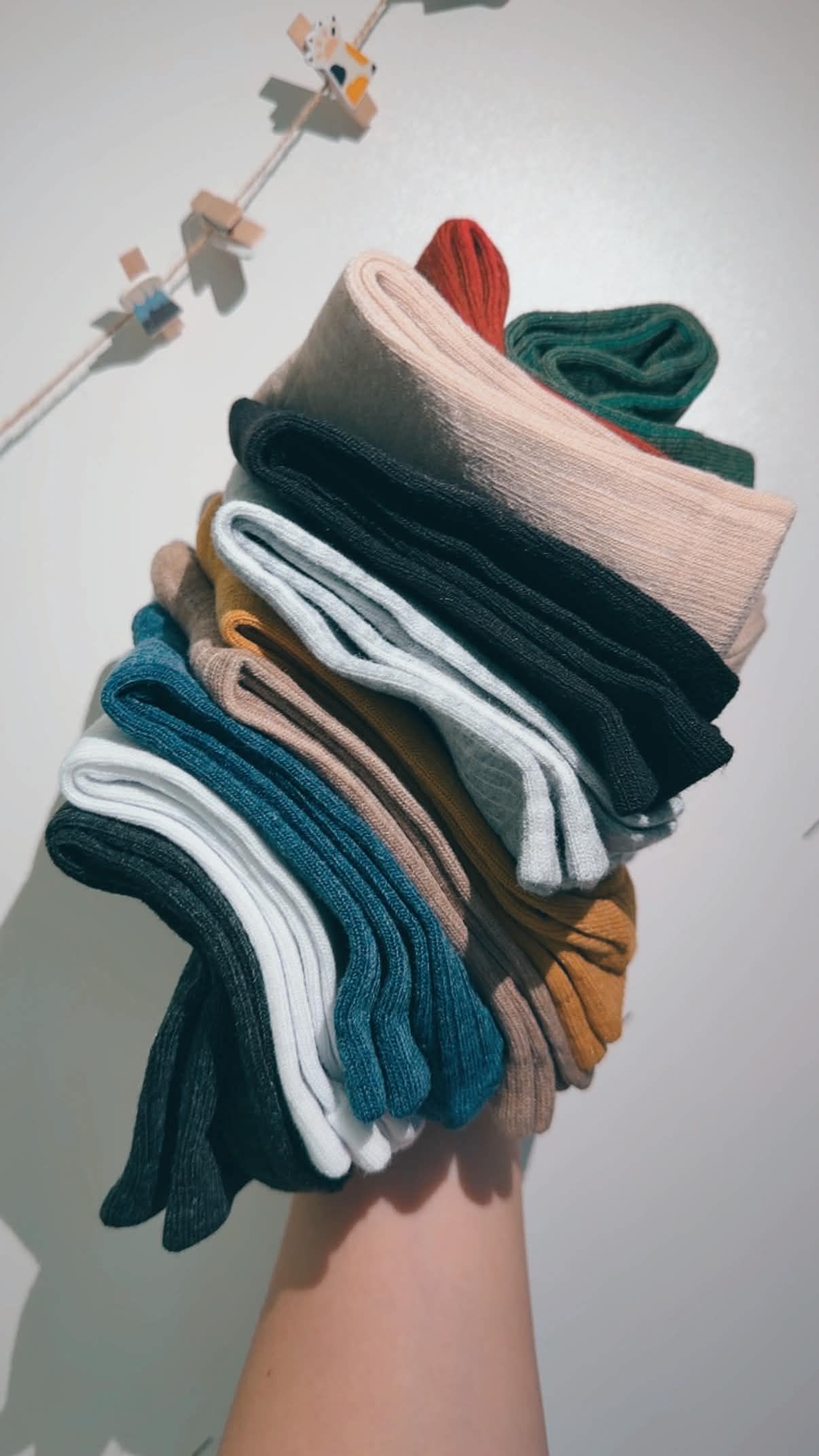 10色素色氣質棉襪