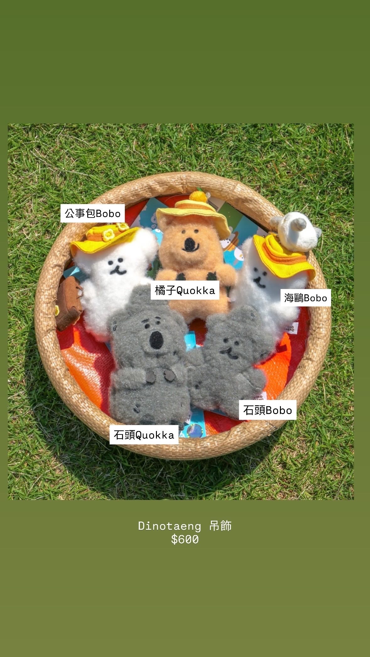 Dinotaeng 新品