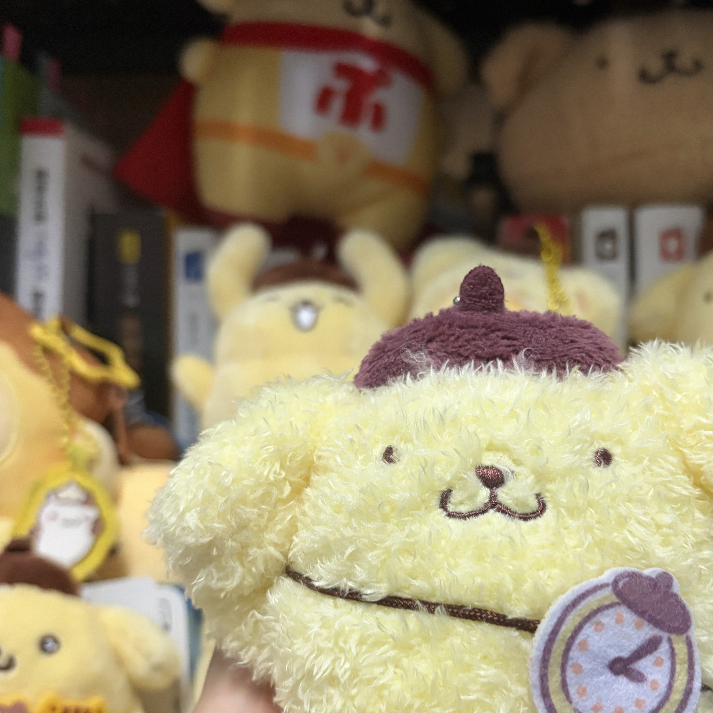 《買家指定商品》xin 