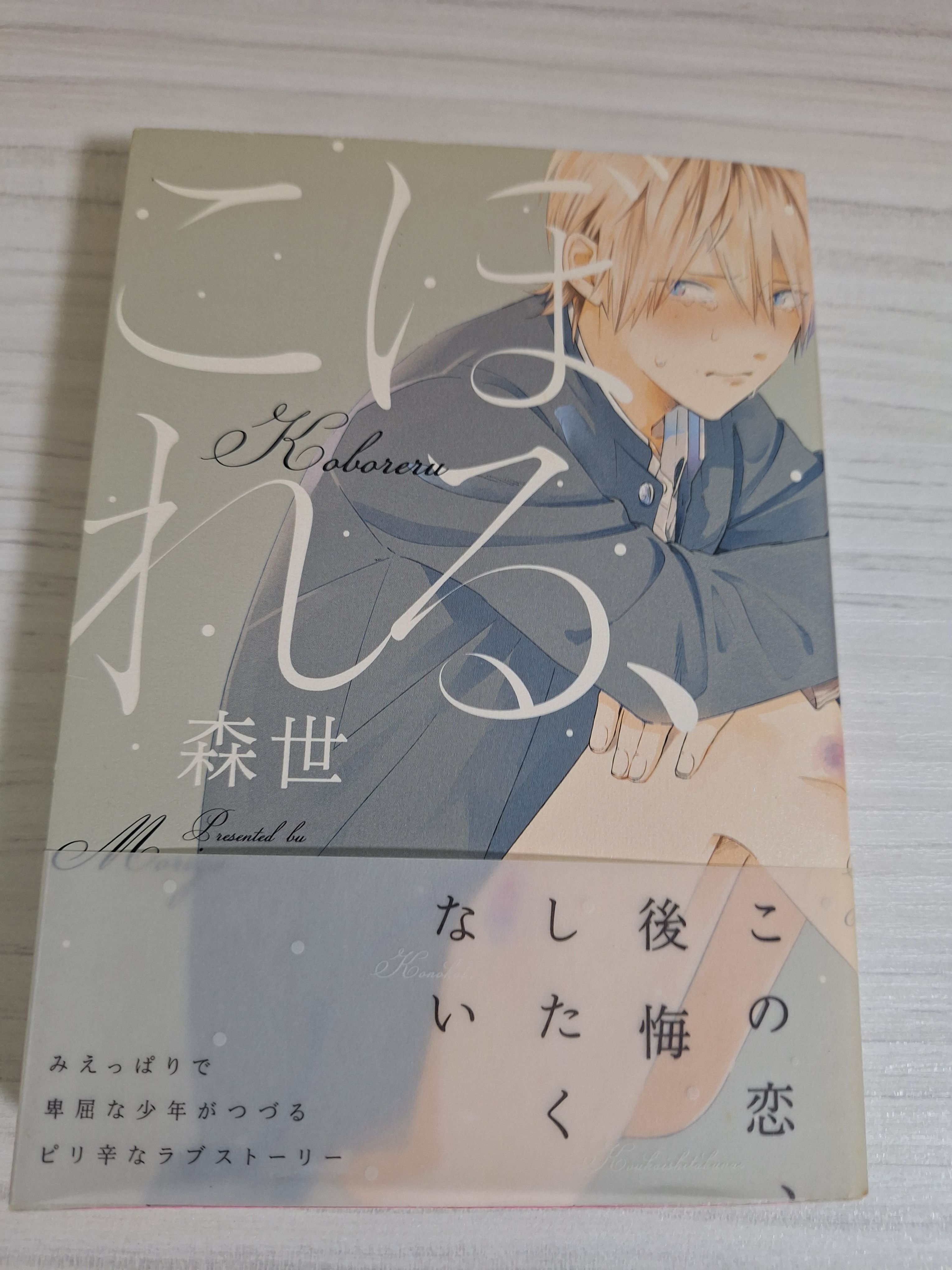 BL漫畫 日文書