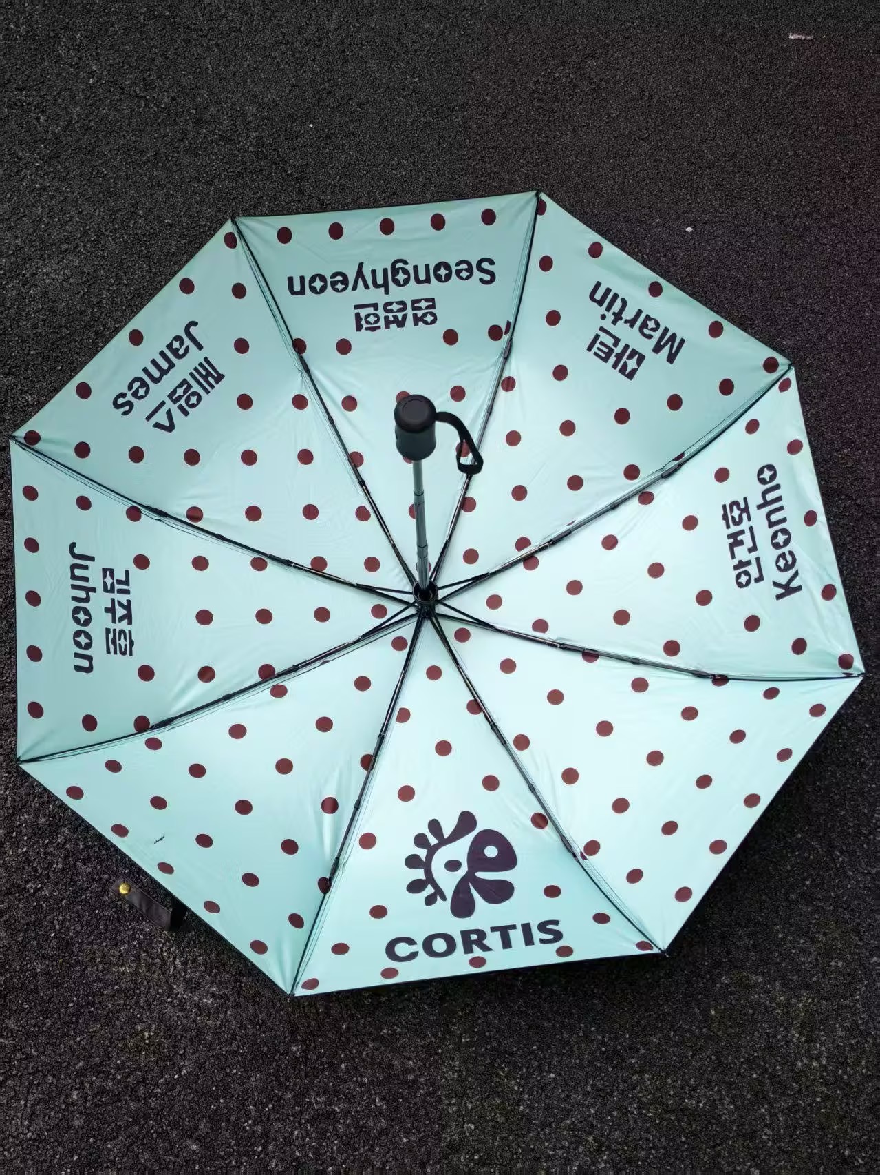 Cortis 薄荷綠波點傘