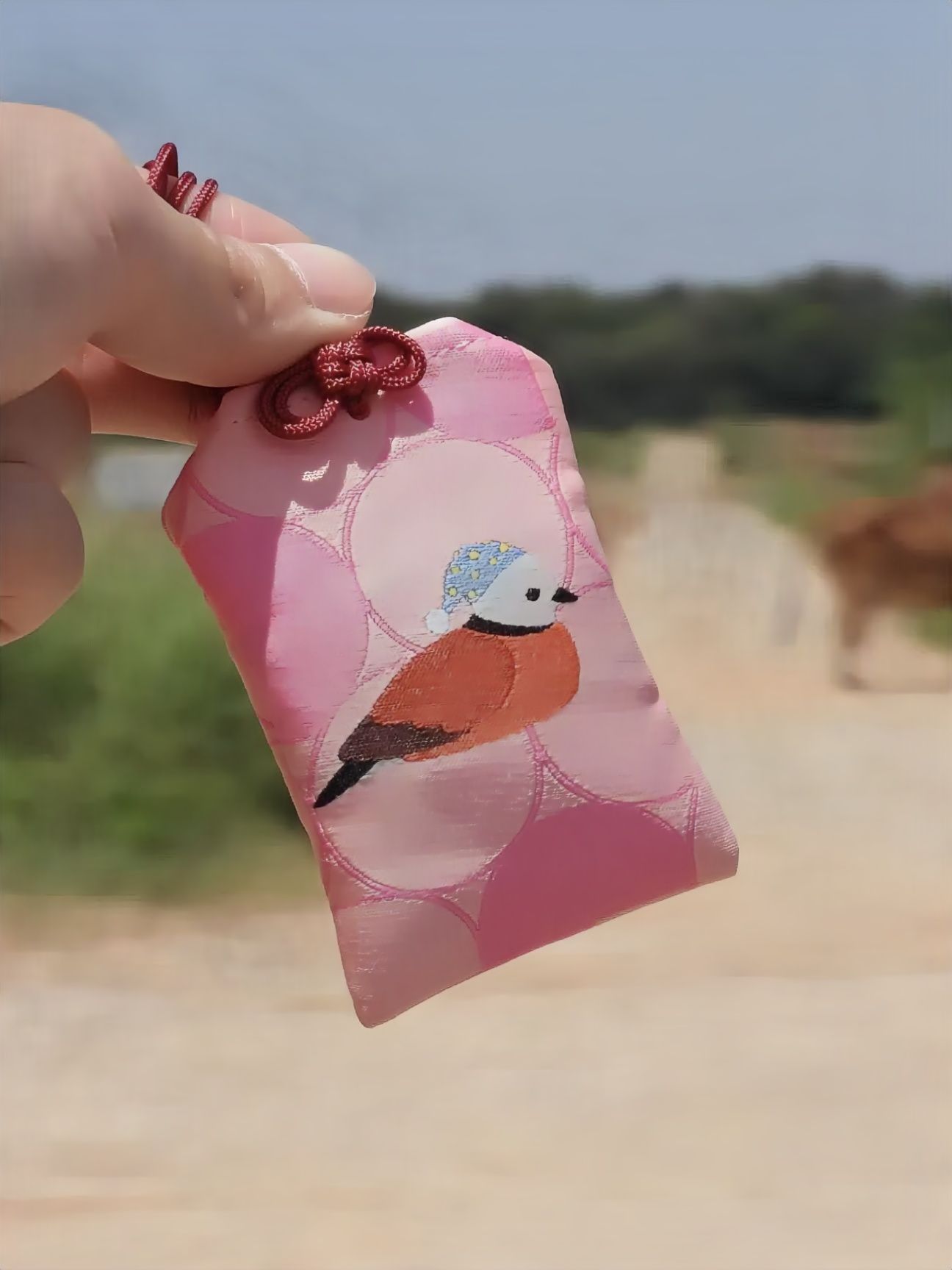 鳥事護身符－紅鳩「好食好睏」