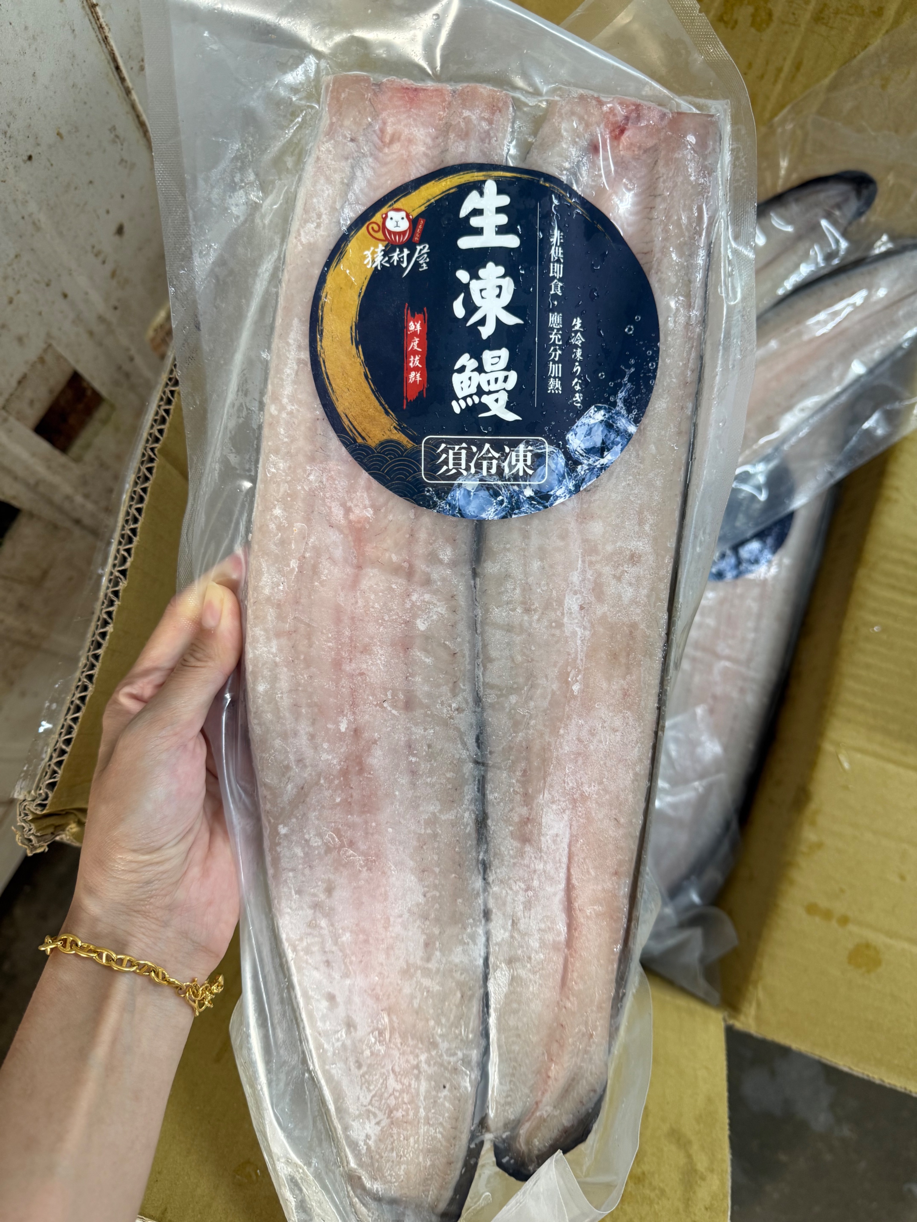 生凍鰻