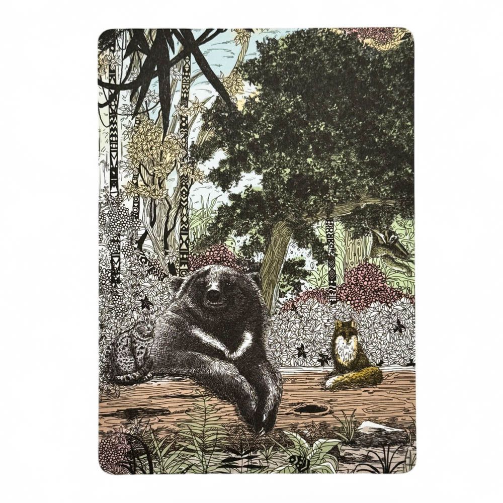 臺灣野生動物厚卡明信片
