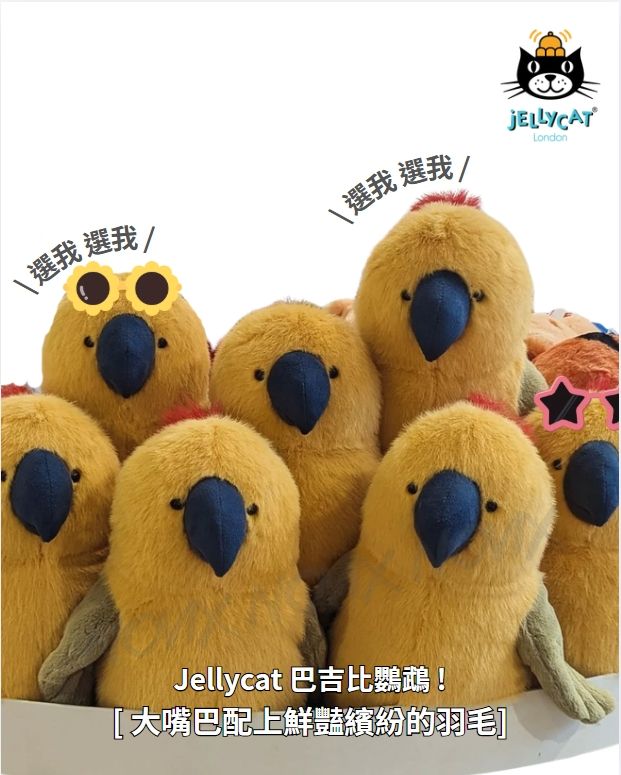 Jellycat 奇巴吉比鸚鵡 玩偶