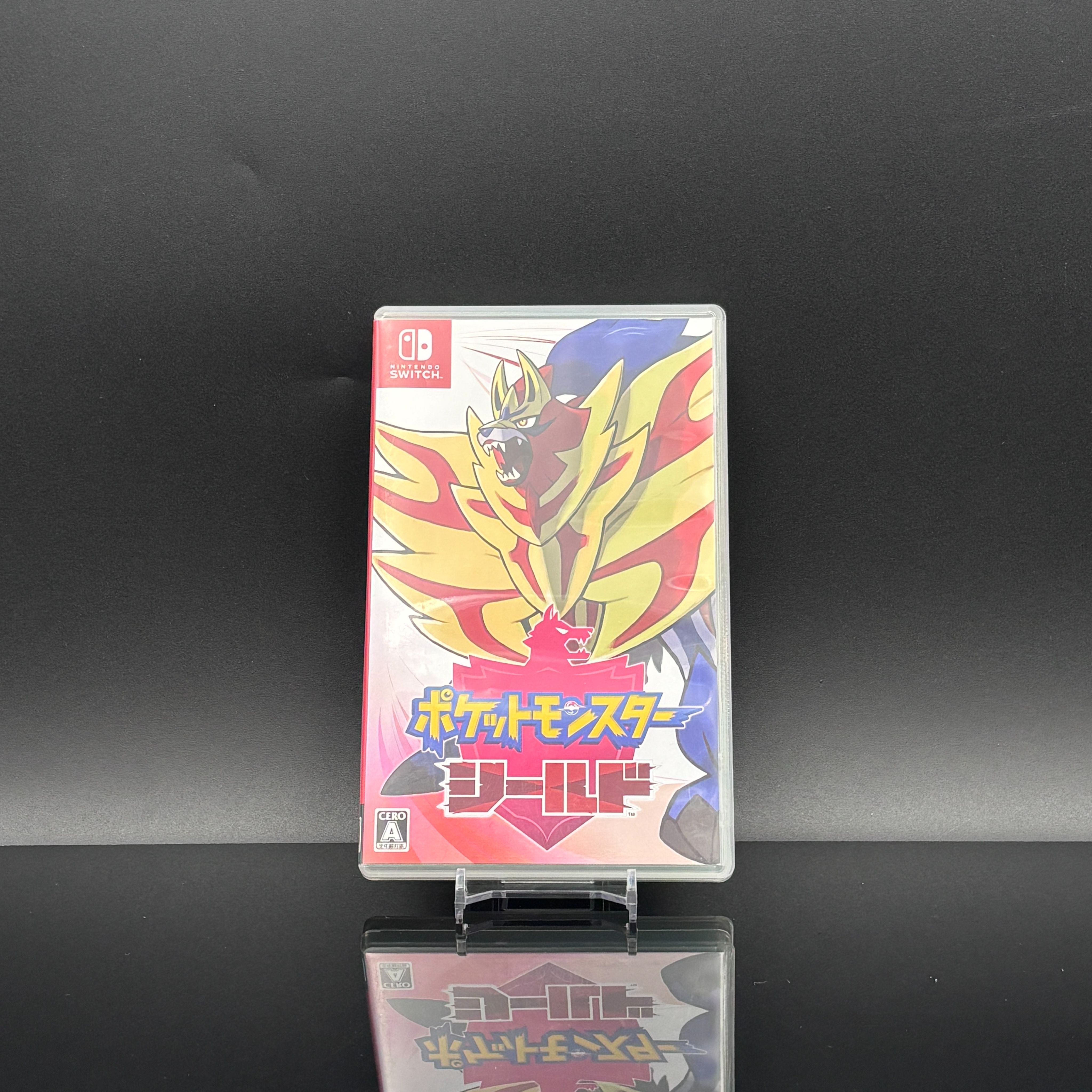NS 遊戲