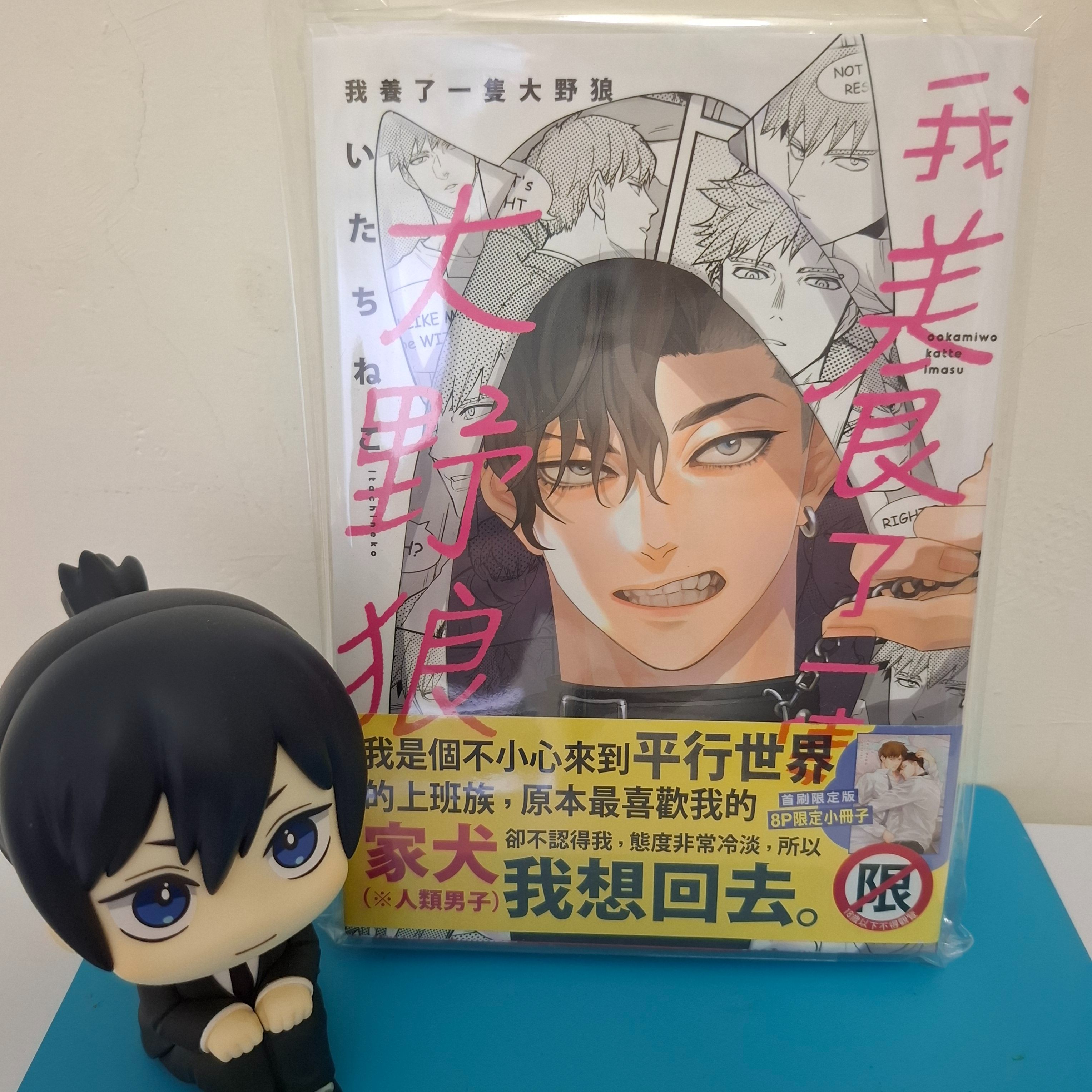 我養了一隻大野狼