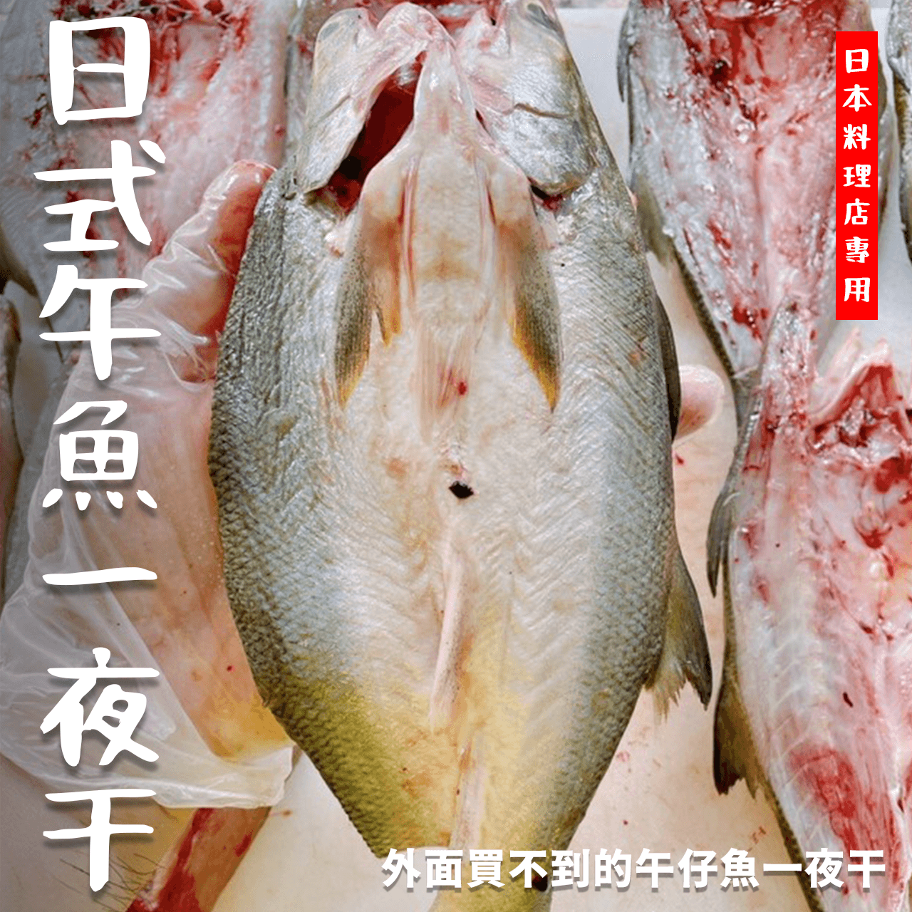 【天天來海鮮】日式午魚一夜干 特大尾午魚ㄧ夜干500/600g