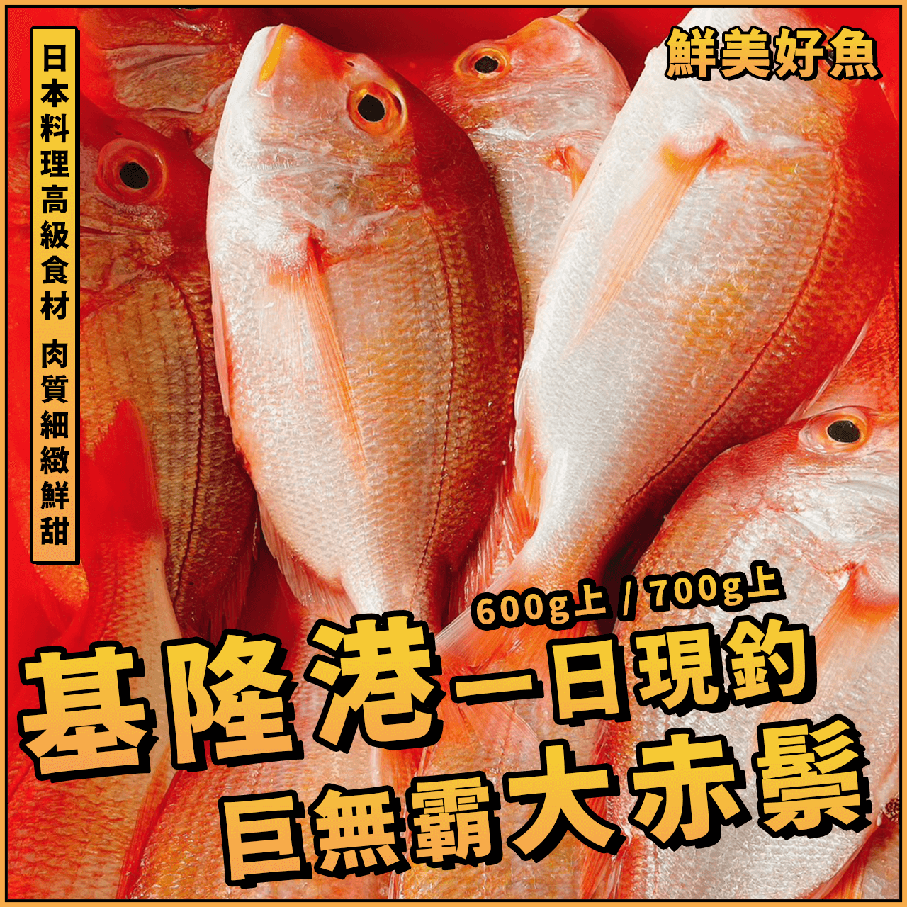 【天天來海鮮】基隆一日釣大赤鬃／250/350g／赤鬃 / 赤鬃魚 / 赤鯮 / 赤棕 / 真空包裝