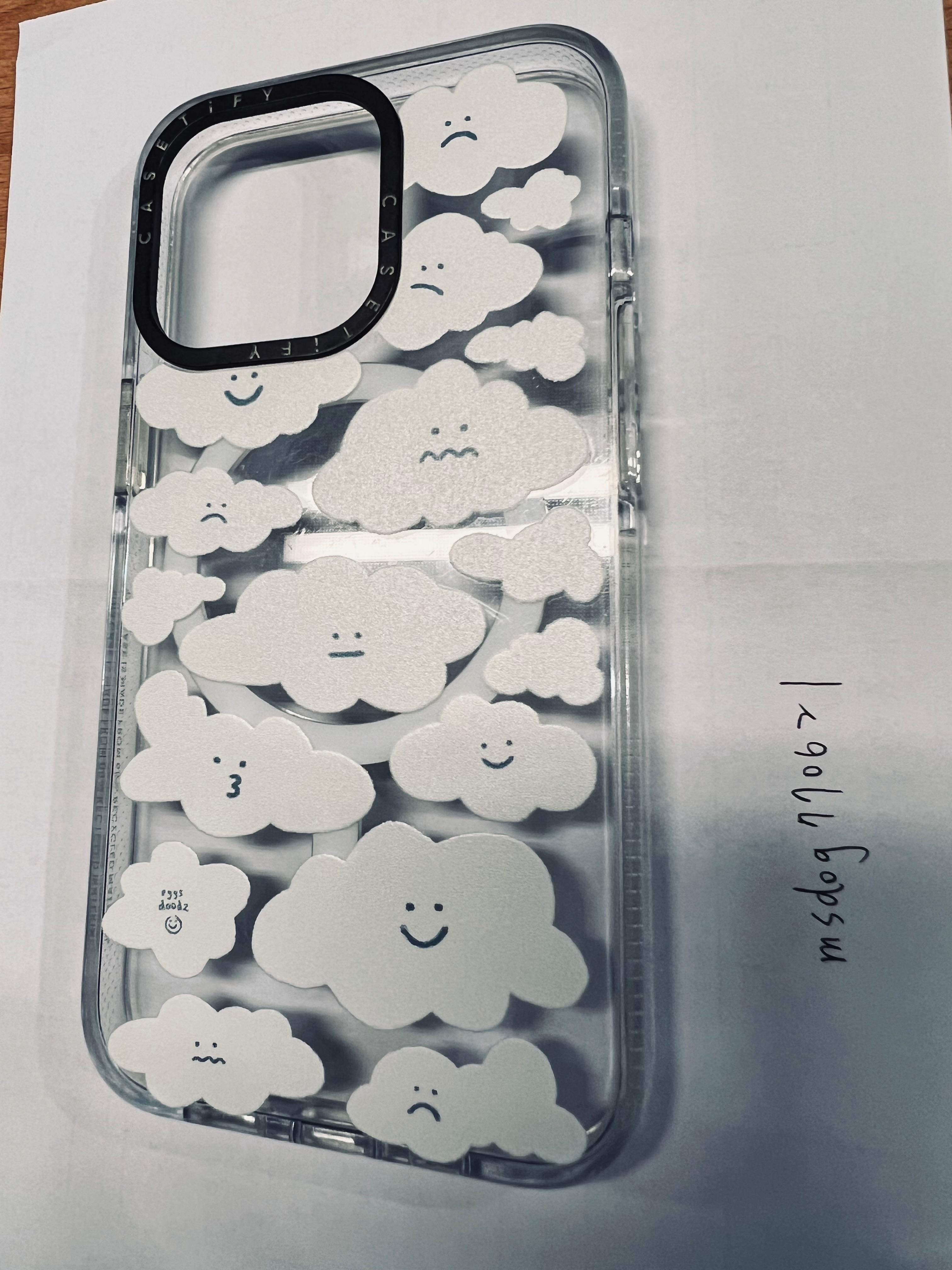 Casetify 13 pro
