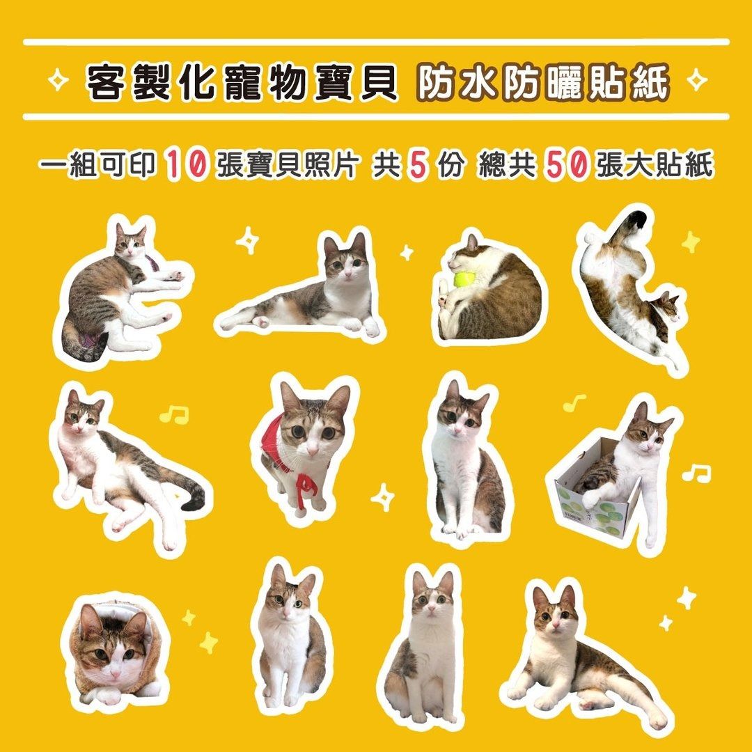 客製化寵物防水貼紙｜10款照片・共50張｜貓狗・人像皆可