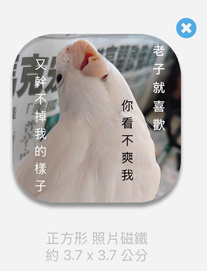 跟鶴丸角色特徵重複的小白雞冰箱貼