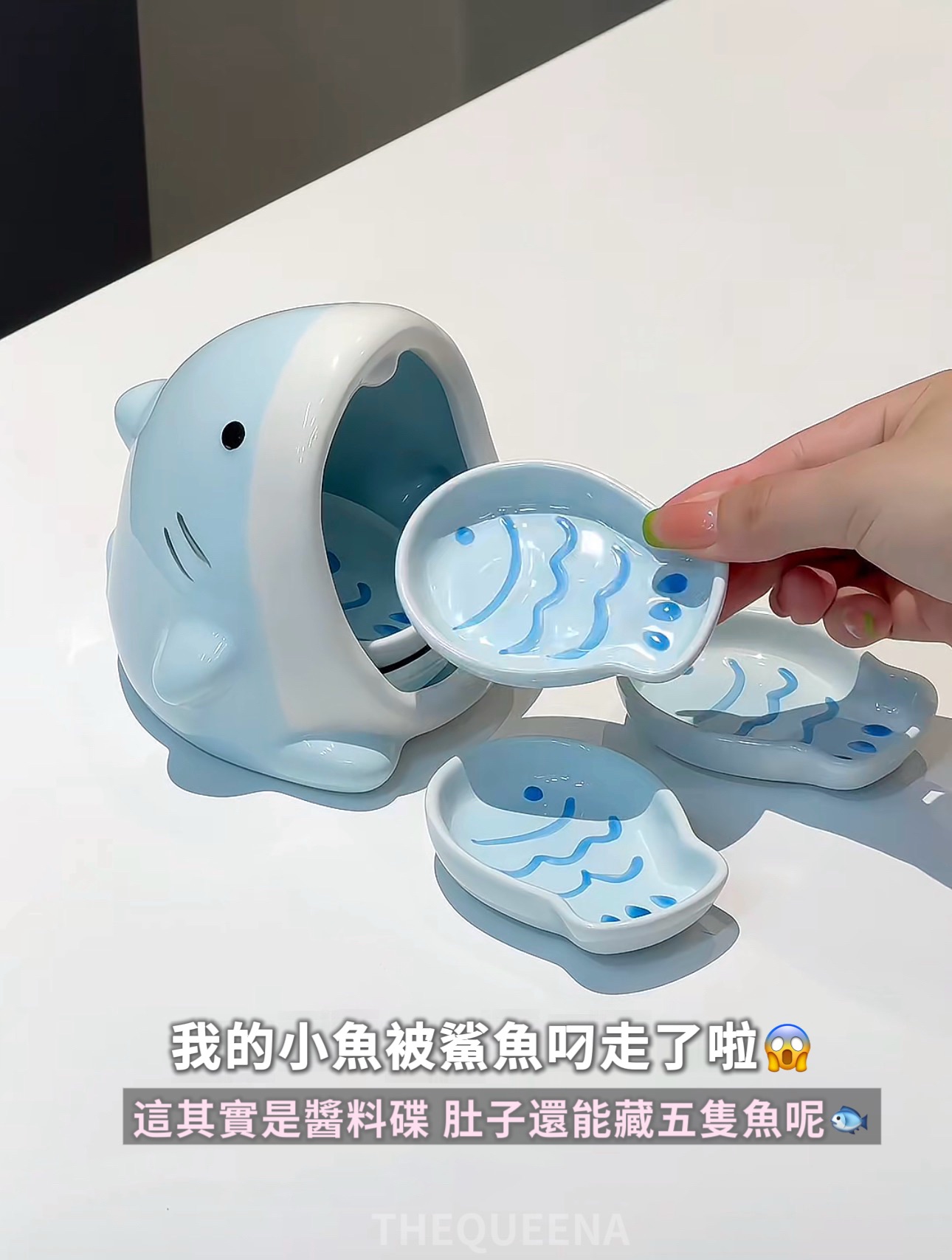 可愛鯊魚 陶瓷 醬料碟 1大5小套組 收納陶瓷碟