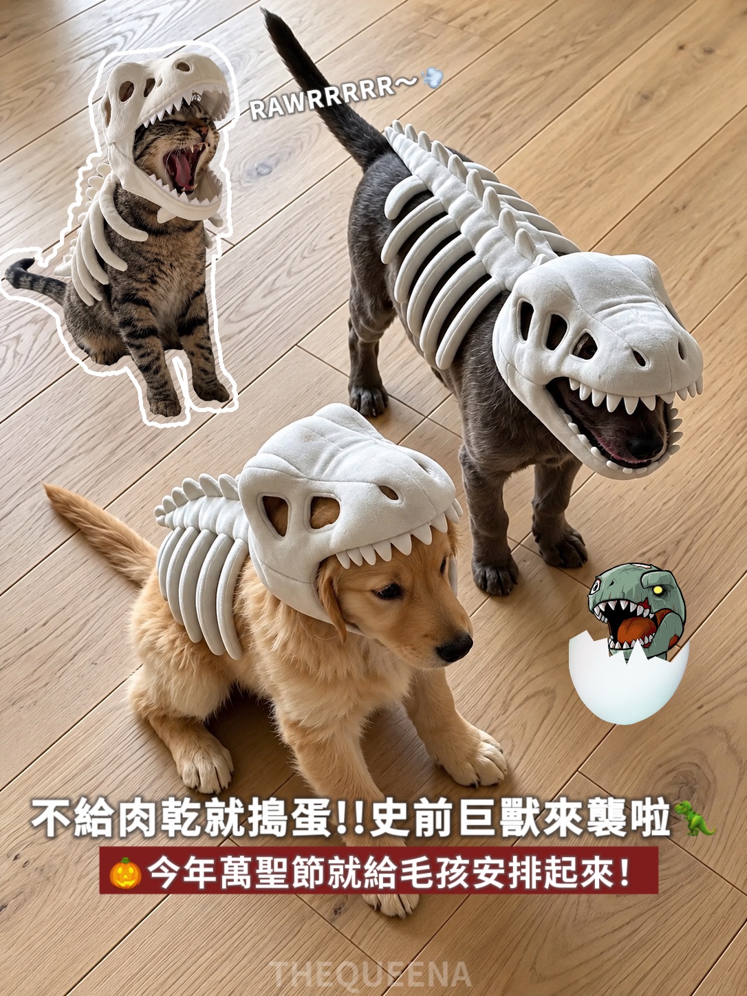 萬聖節寵物變裝  3D立體恐龍骨骼頭套背甲 灰白化石造型 貓狗萬聖節衣服 45-120cm