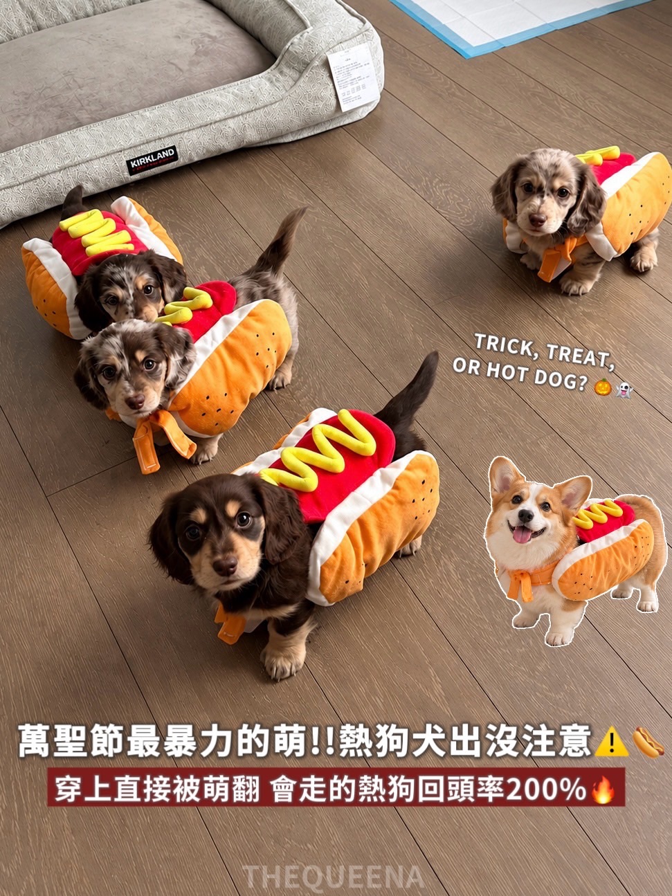 萬聖節寵物變裝衣 立體熱狗堡造型 狗狗熱狗衣 變身衣 狗衣服
