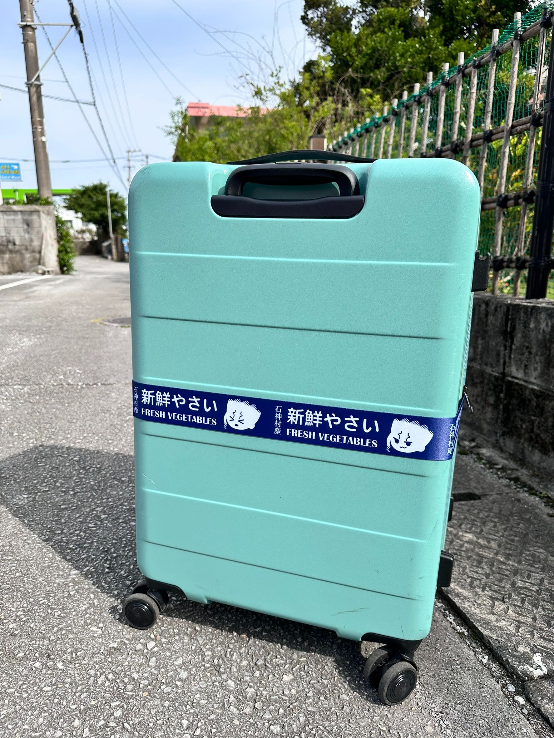 石神村產蔬菜行李束帶預購