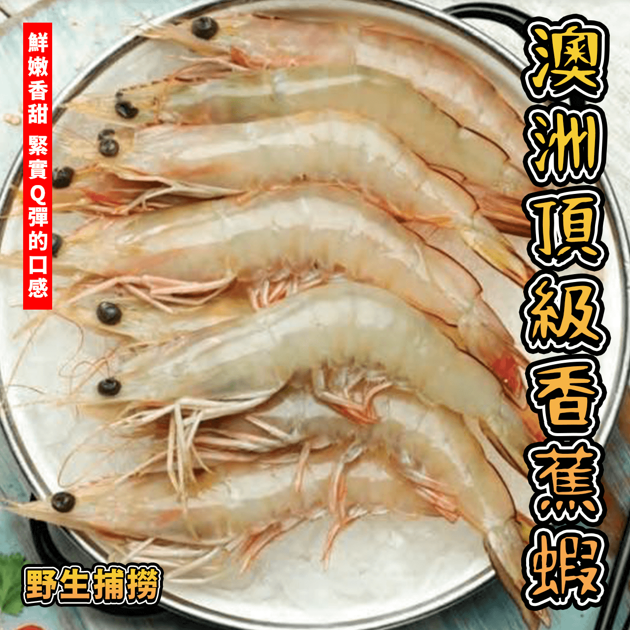 【天天來海鮮】澳洲頂級香蕉蝦／飯店／餐廳／團購／批發／零售