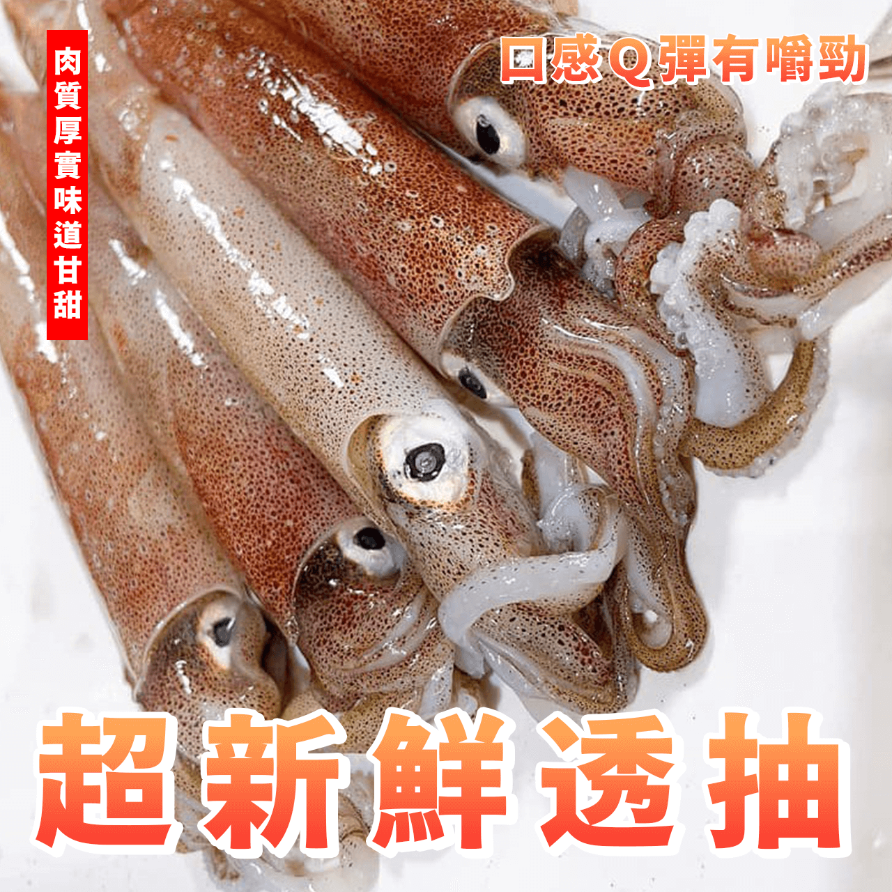 【天天來海鮮】超新鮮透抽／每大片2200-2400克／約14-16大尾，長度24公分
