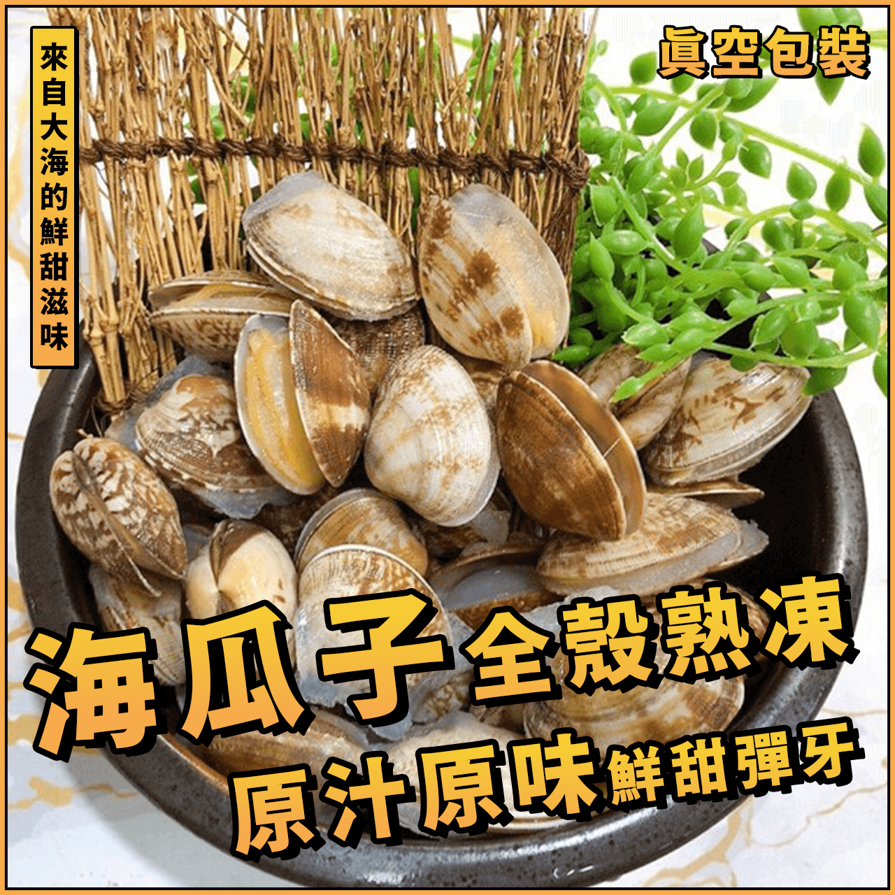 【天天來海鮮】全殼熟凍海瓜子／每包500克／帶殼熟凍海瓜子／熟凍海瓜子