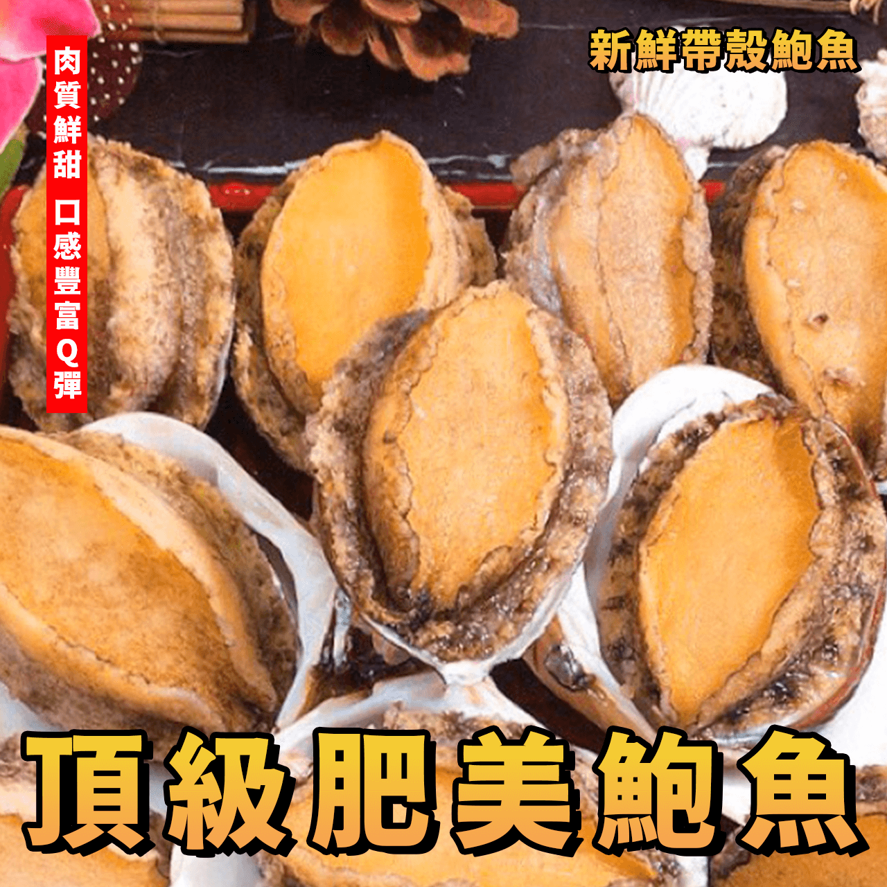 【天天來海鮮】頂級肥美的帶殼鮑魚（1000克18顆）／飯店／餐廳／團購／批發／零售