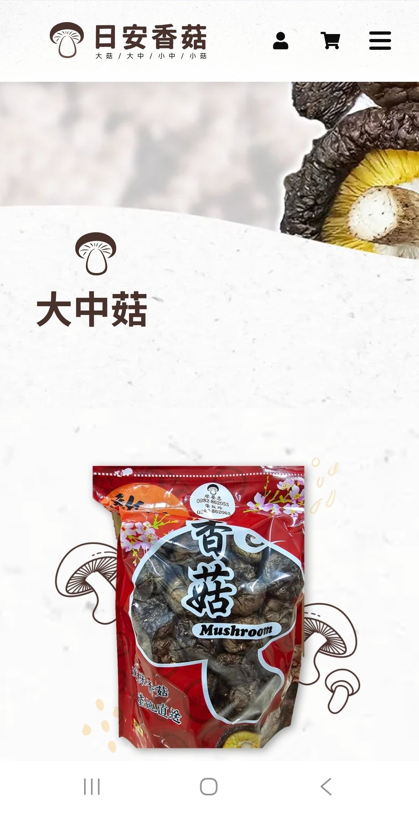 大中菇