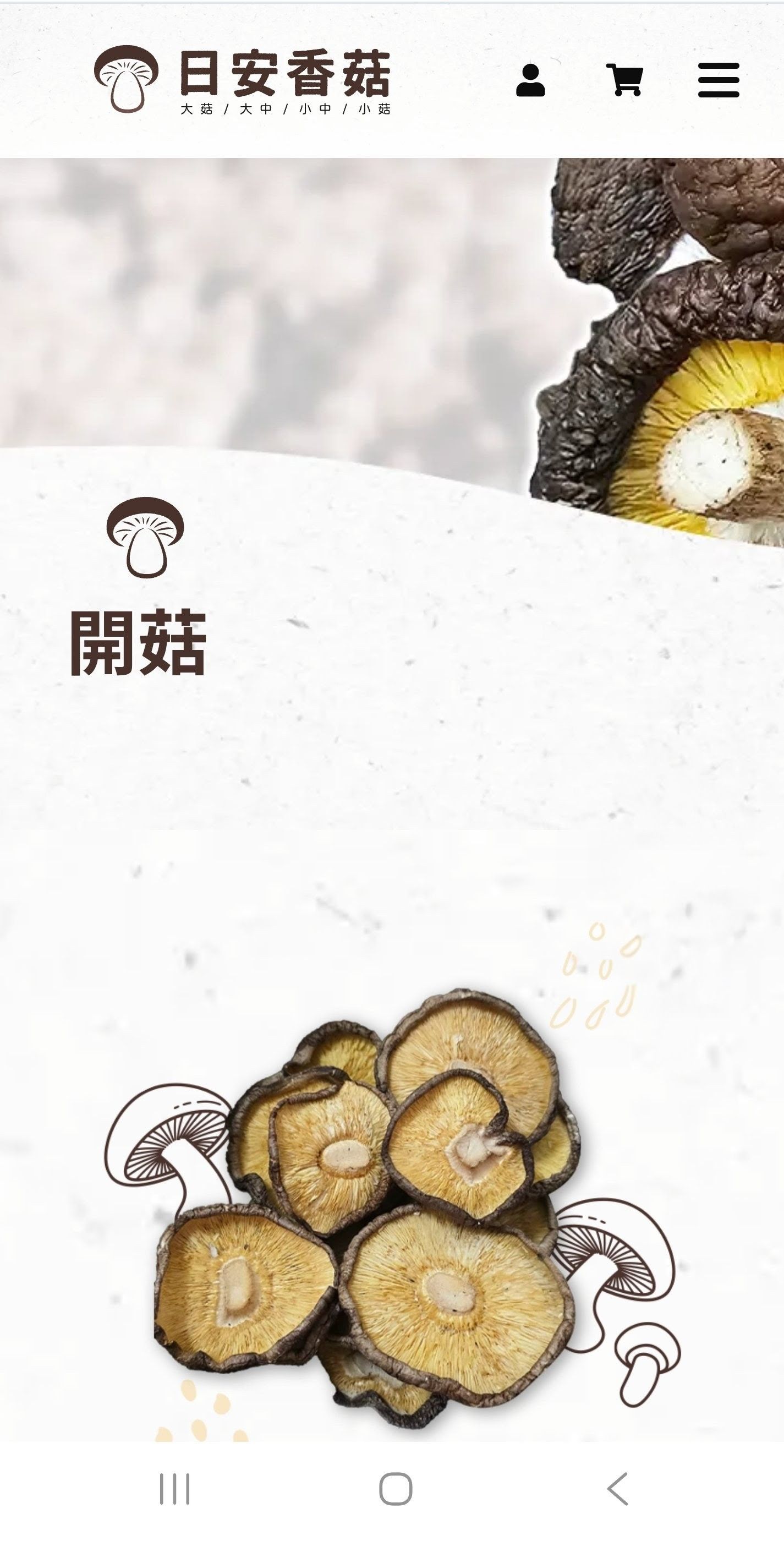 開菇/NG菇