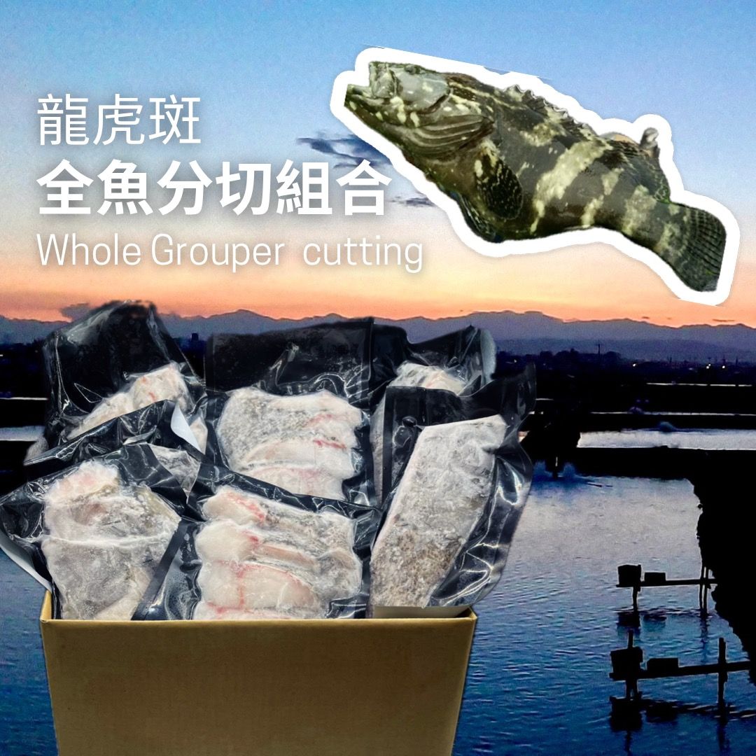 龍虎斑全魚分切組合