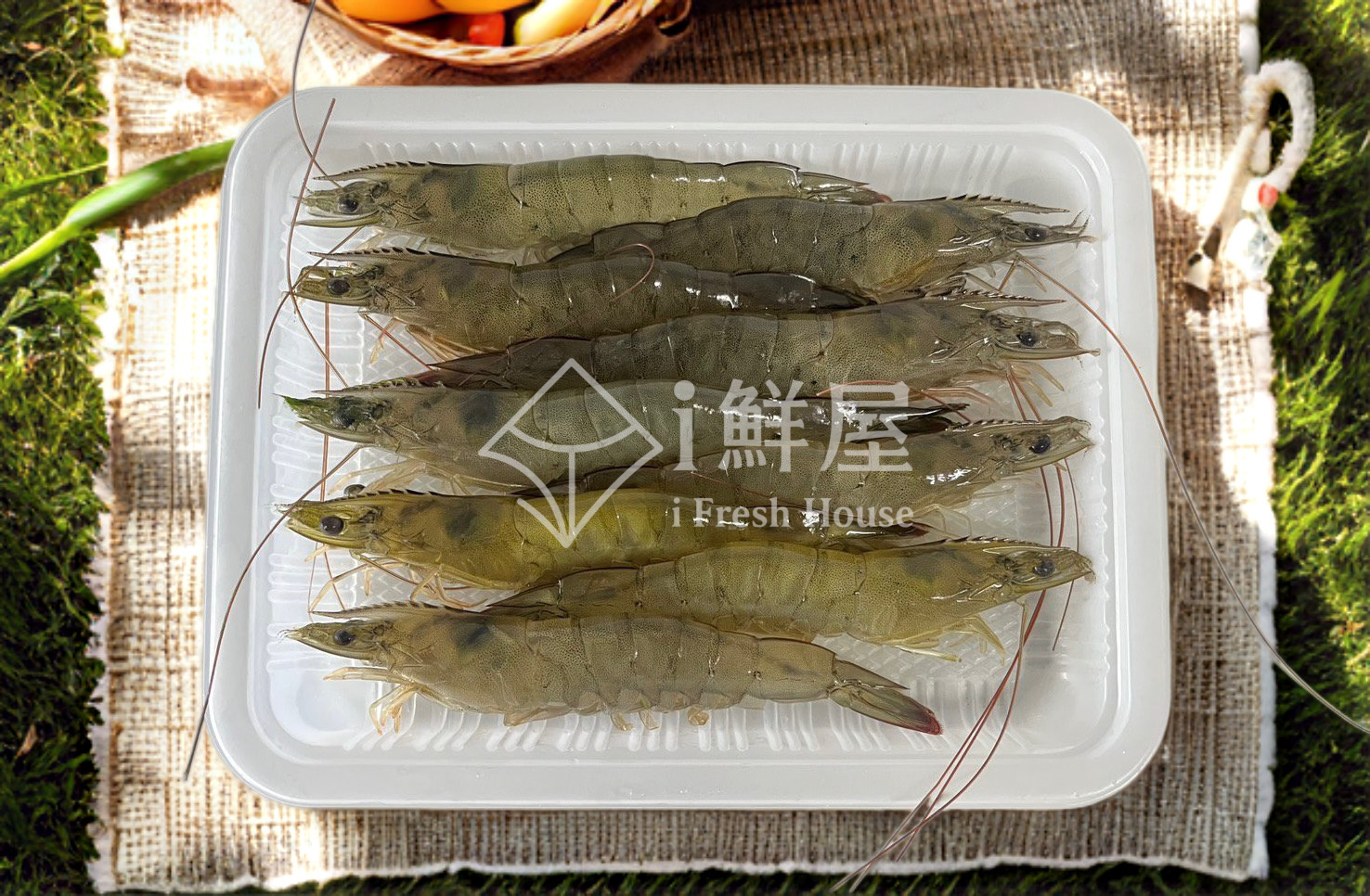 海水活凍白蝦
