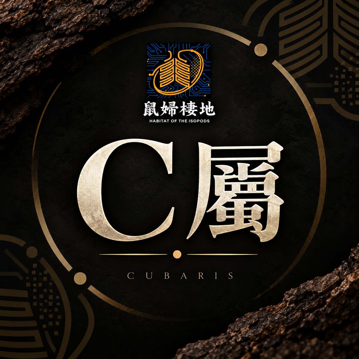 C屬 1區